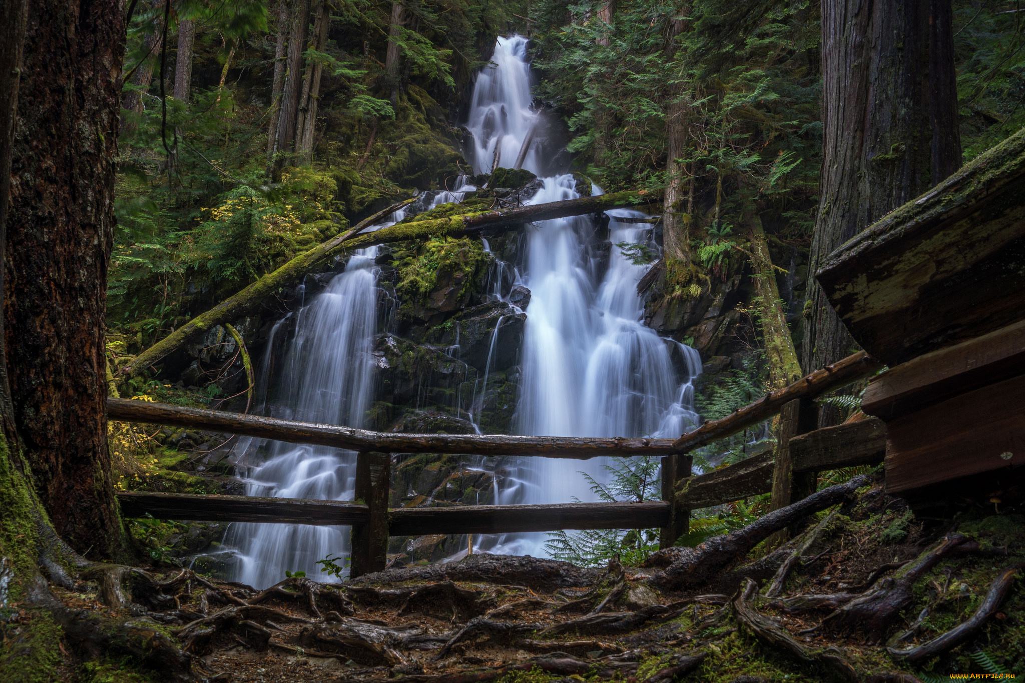природа, водопады, лес, водопад, река