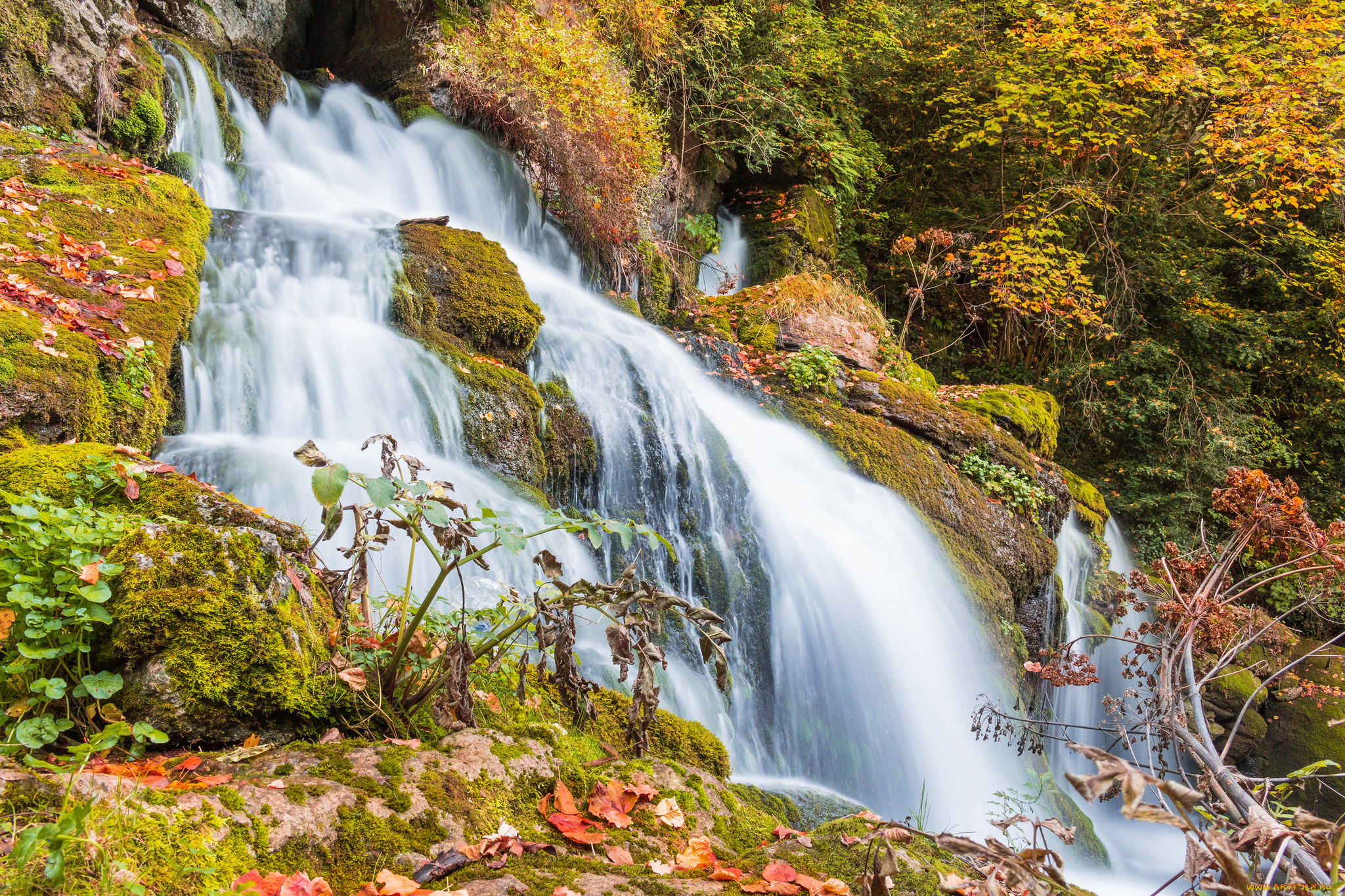 природа, водопады, река, водопад, лес