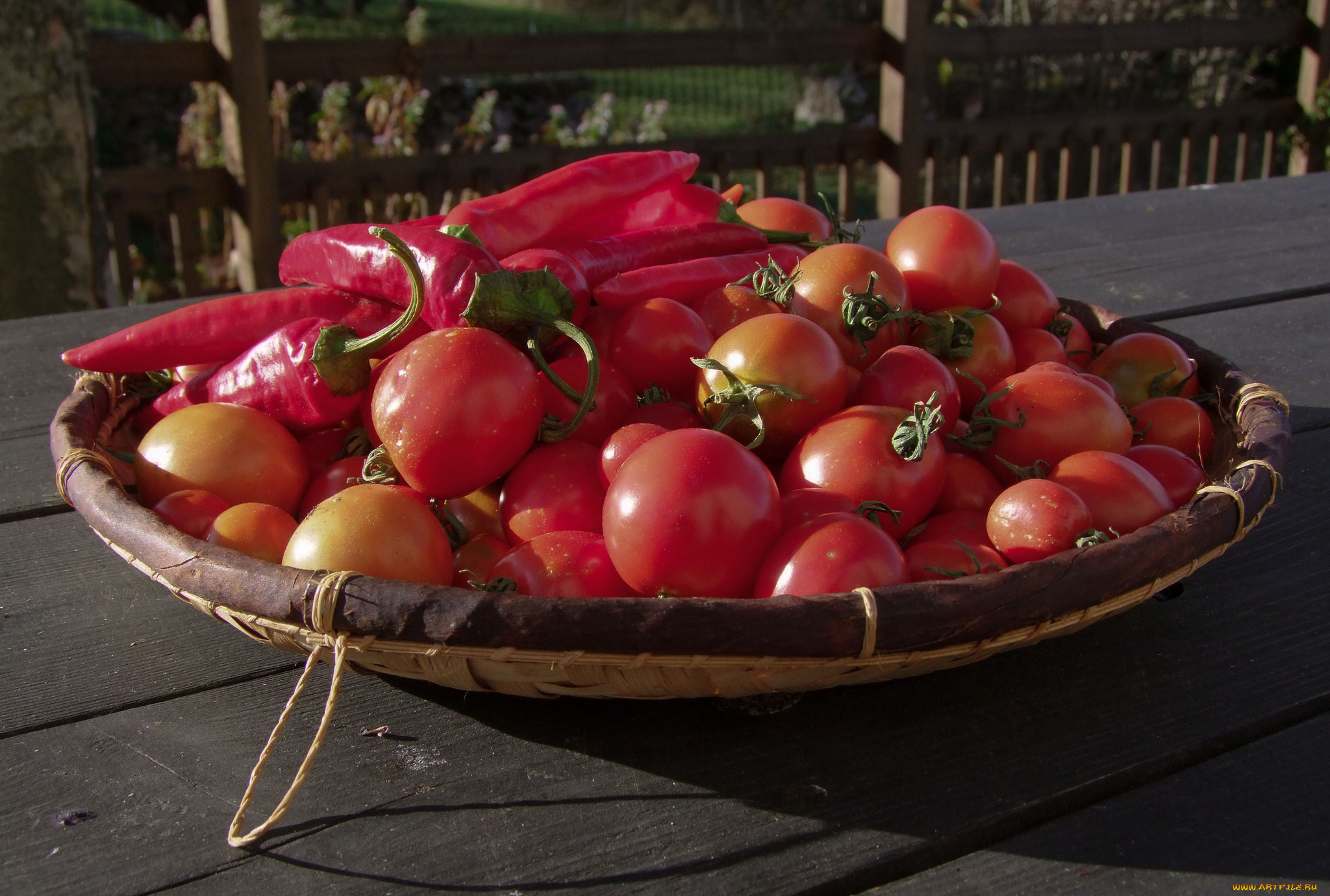 еда, овощи, томаты