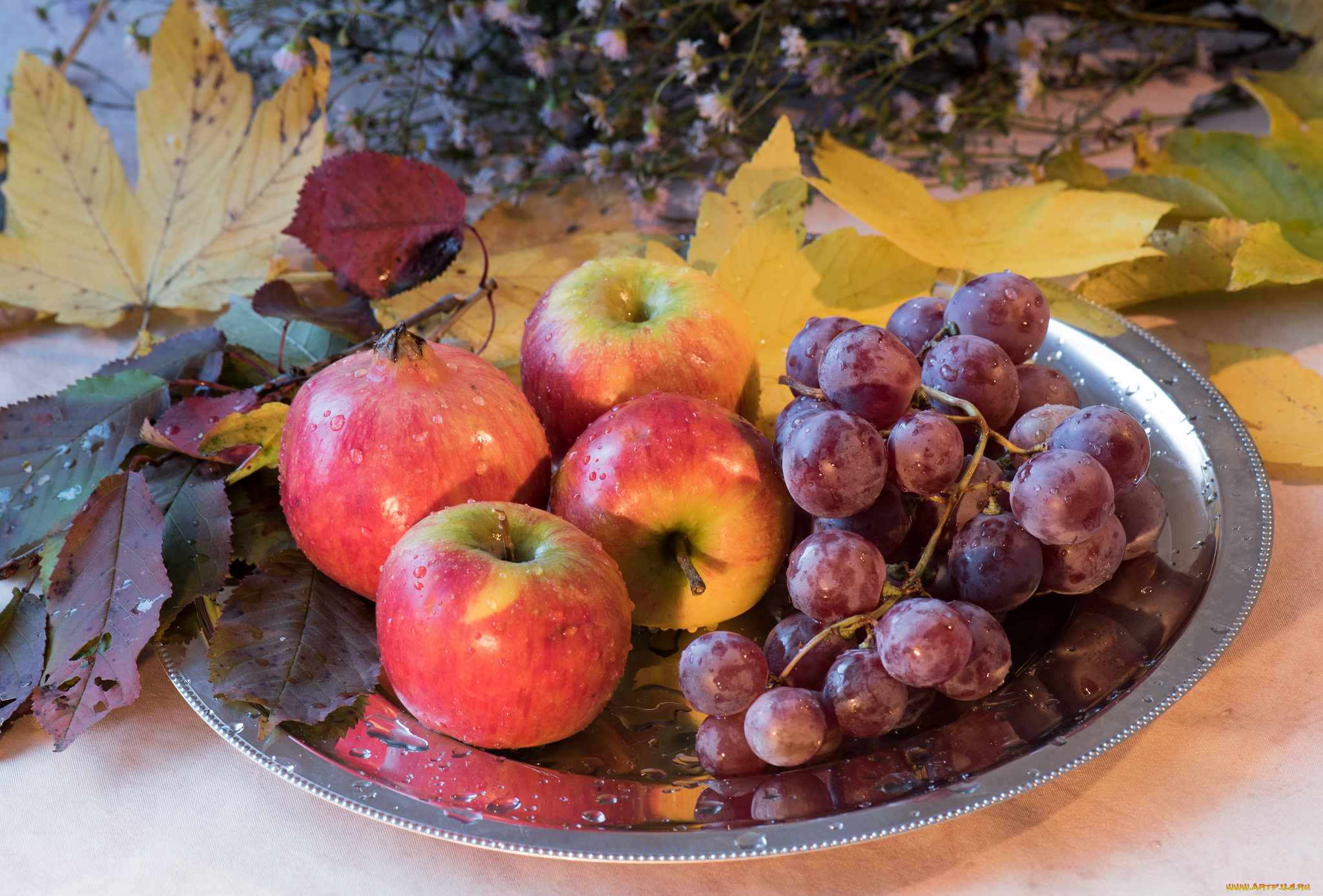 еда, фрукты, , ягоды, блюдо