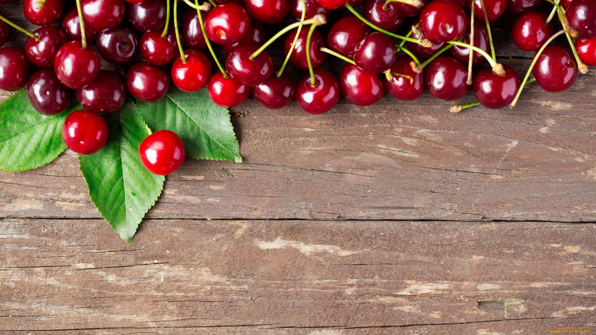 еда, вишня, , черешня, ягоды, berries, черешня, fresh, wood, cherry