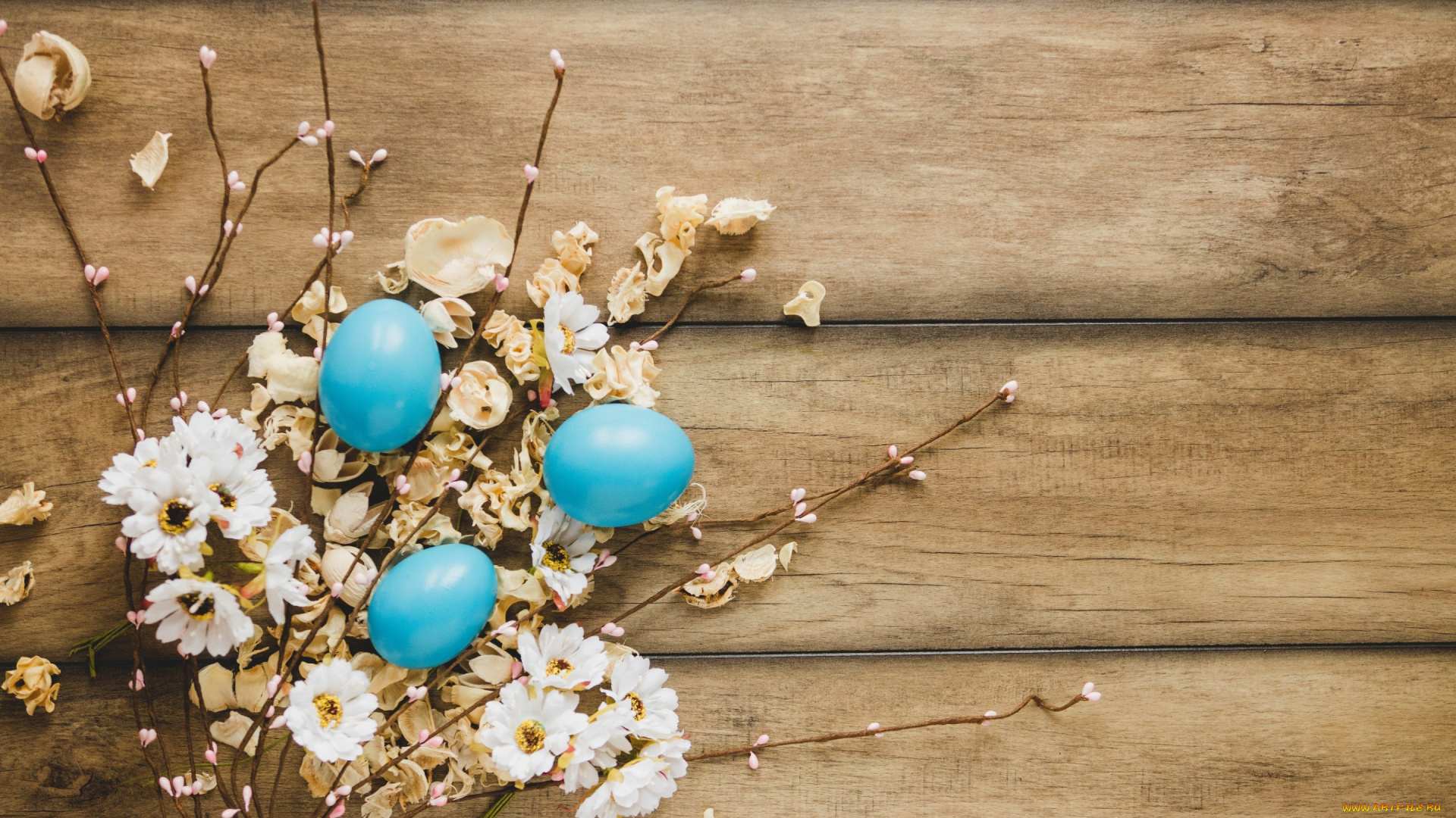 праздничные, пасха, happy, яйца, крашеные, eggs, ромашки, wood, decoration, весна, tender, easter, цветы, flowers, spring