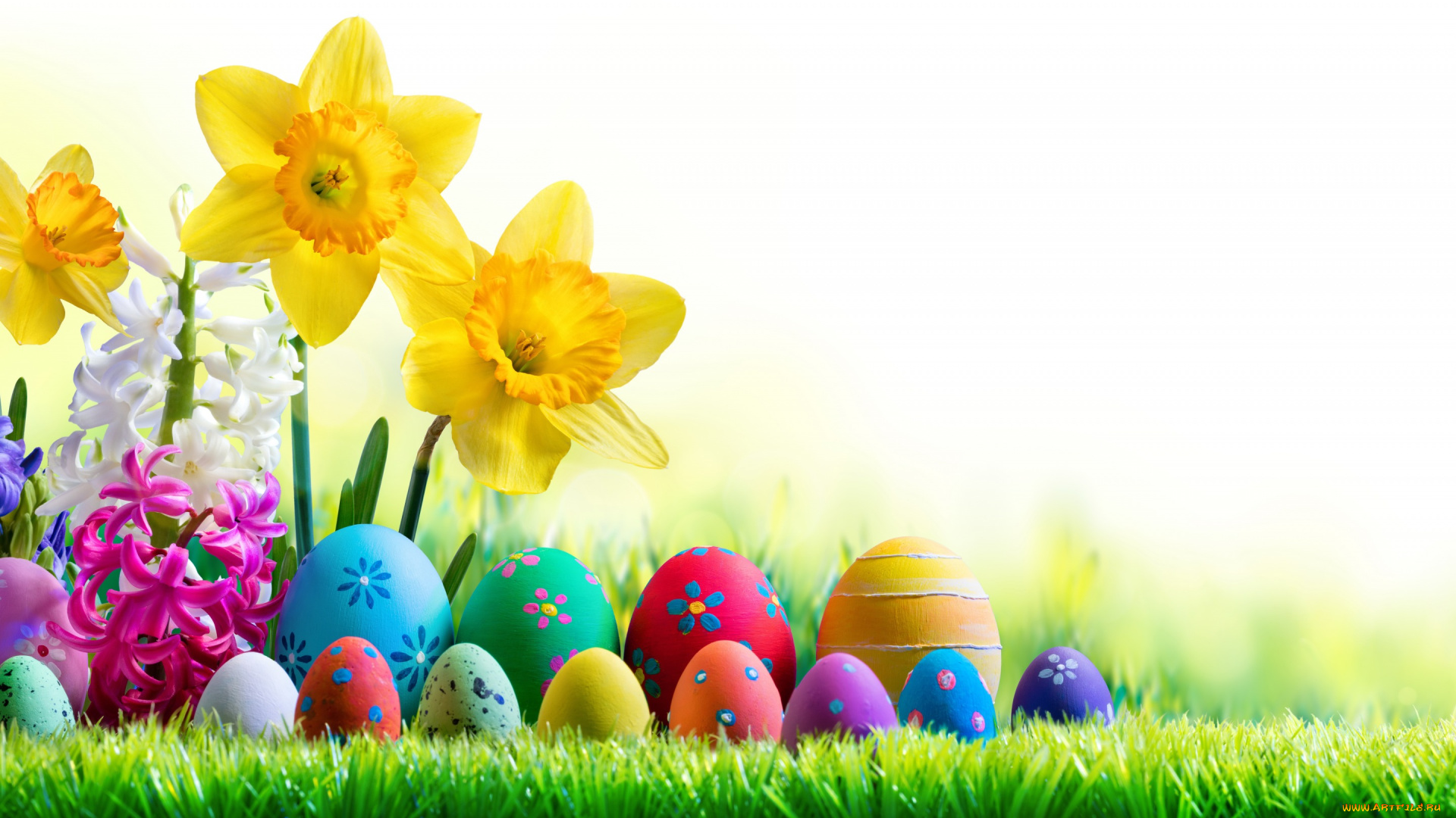 праздничные, пасха, весна, трава, небо, солнце, easter, нарциссы, happy, цветы, яйца, крашеные, spring, flowers, eggs, decoration