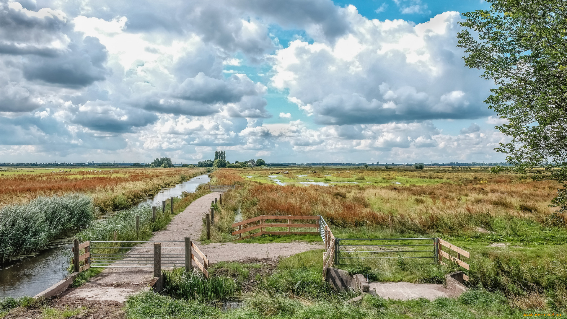 природа, дороги, простор