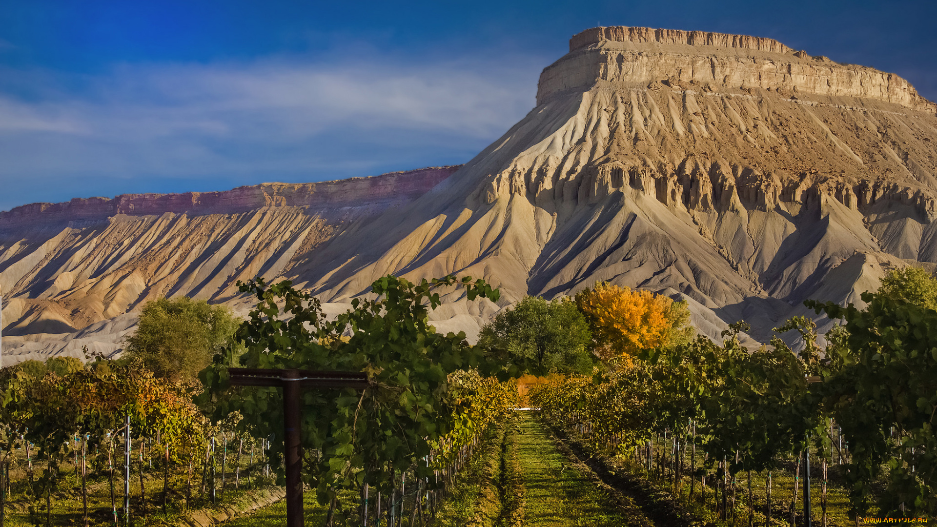 природа, горы, простор