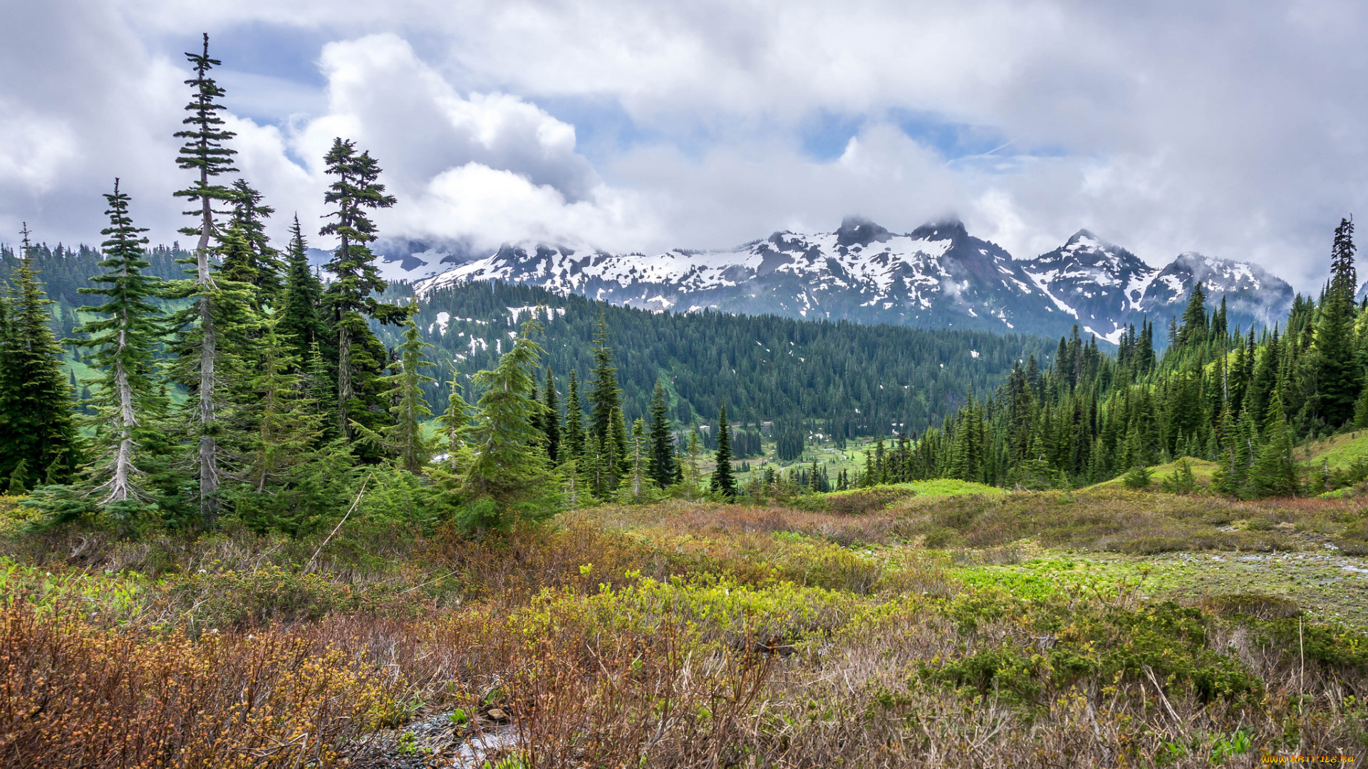 природа, пейзажи, простор