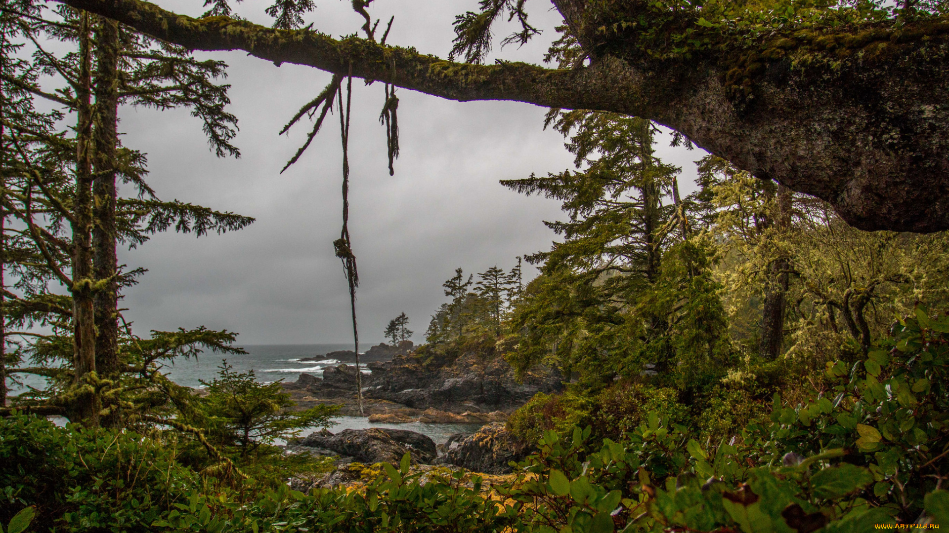 природа, побережье, простор