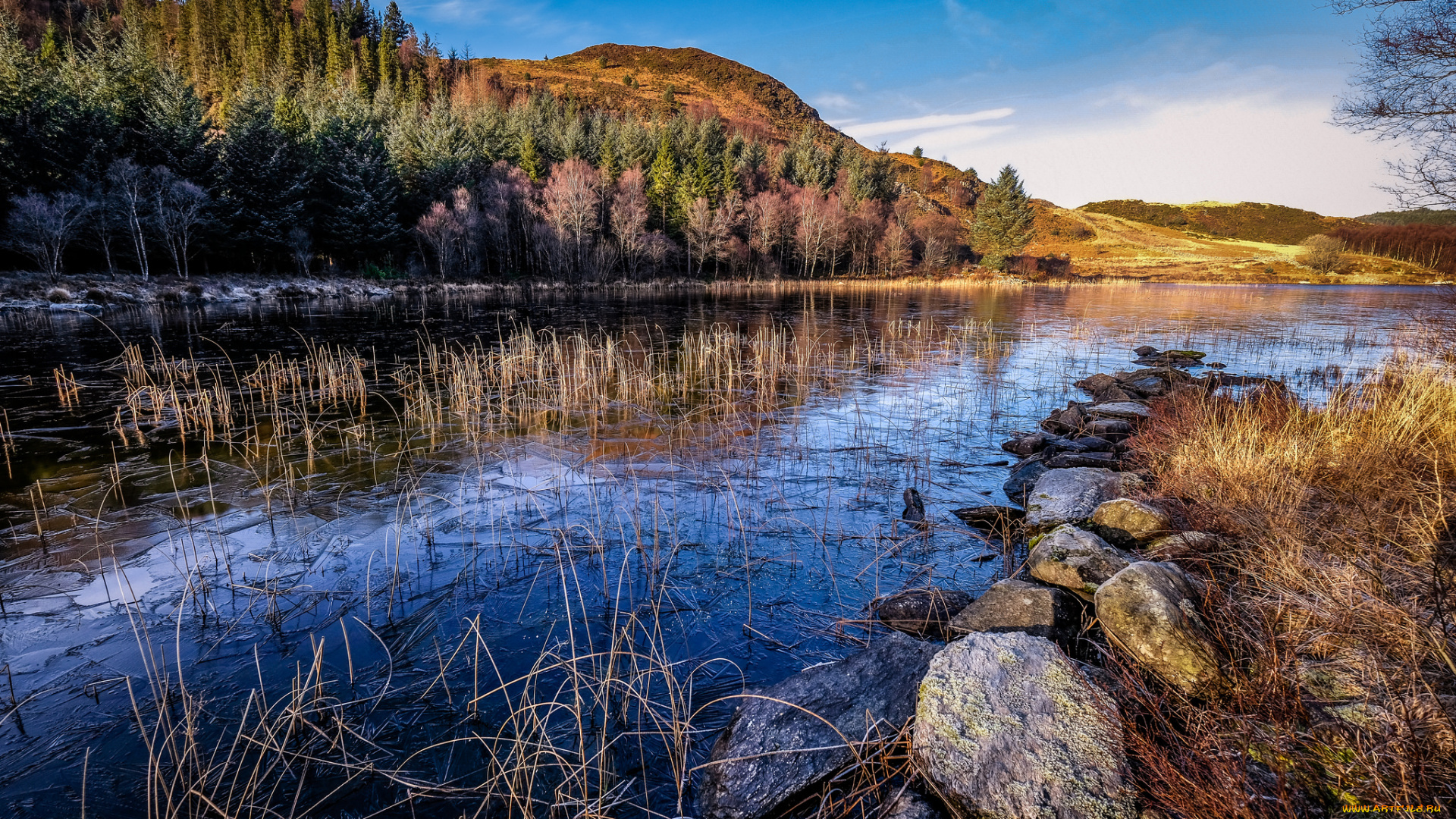 природа, реки, озера, простор