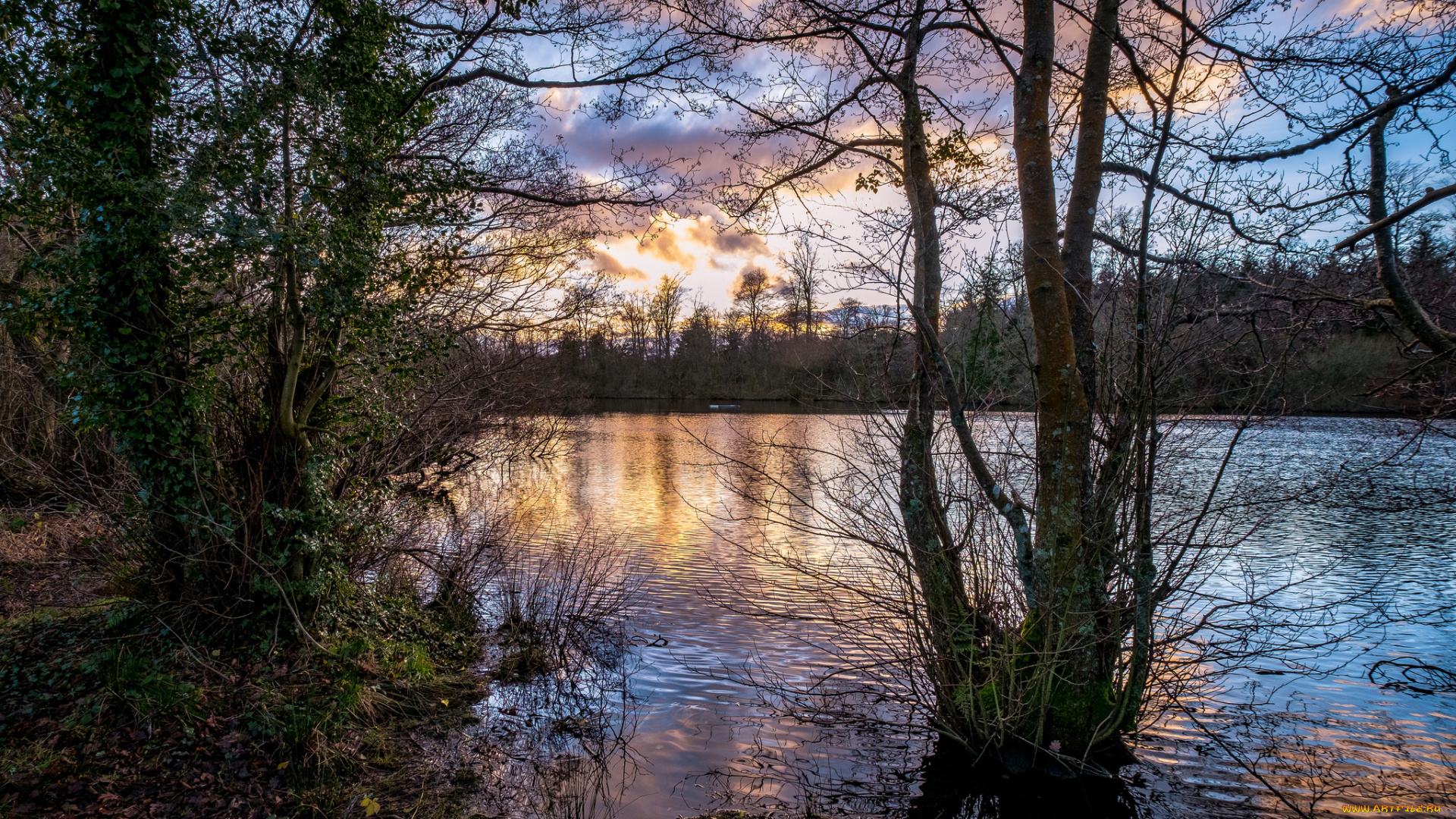 природа, реки, озера, простор