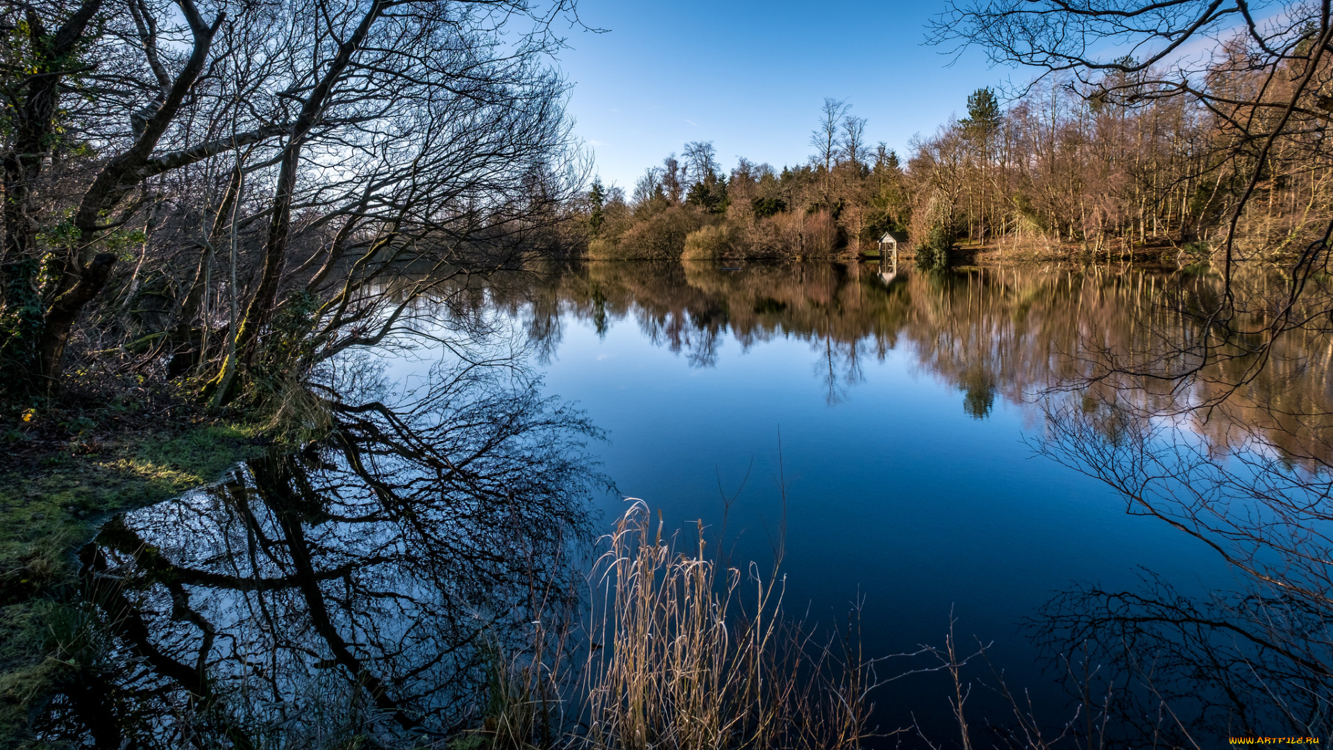 природа, реки, озера, простор