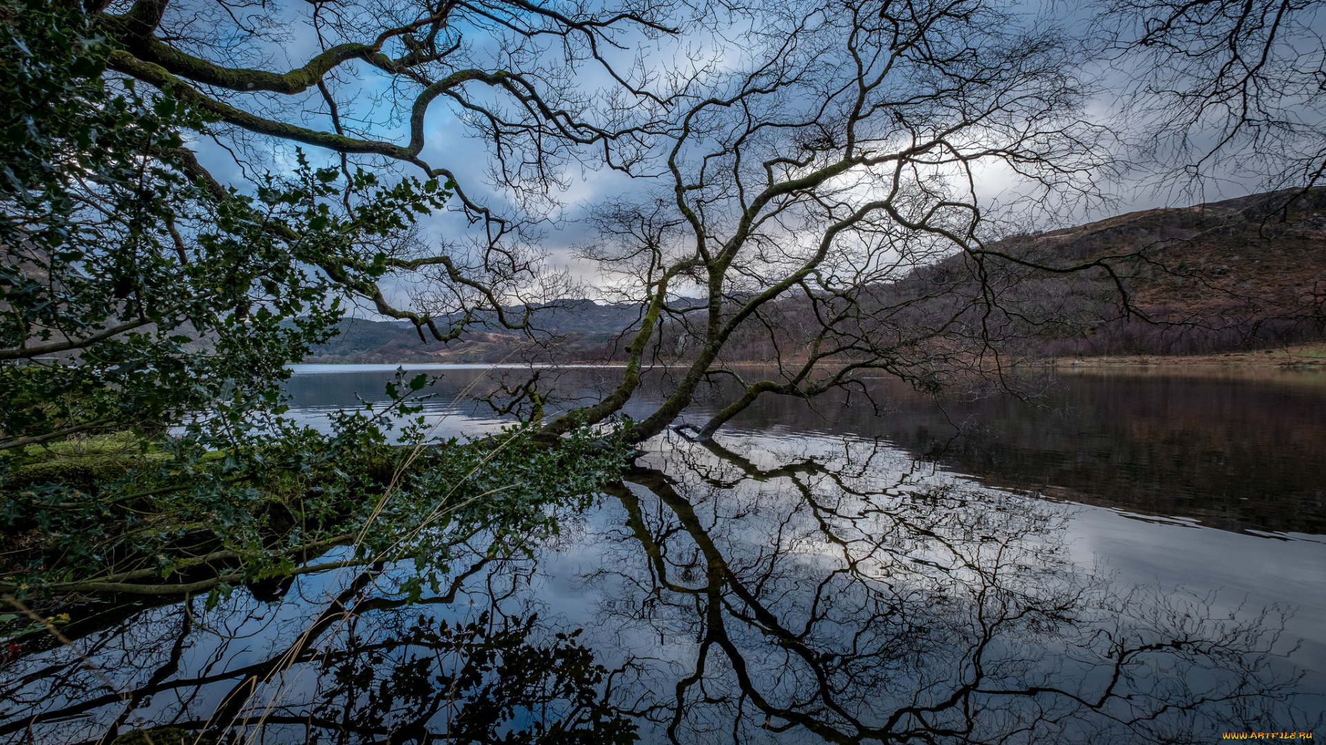 природа, реки, озера, простор