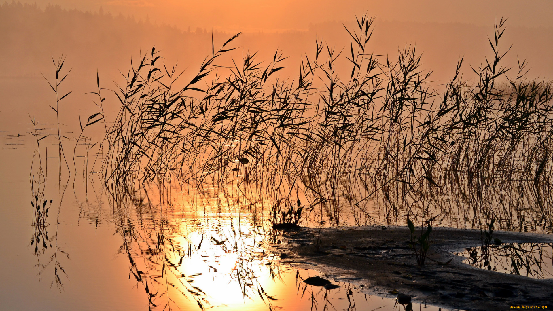 природа, реки, озера, простор