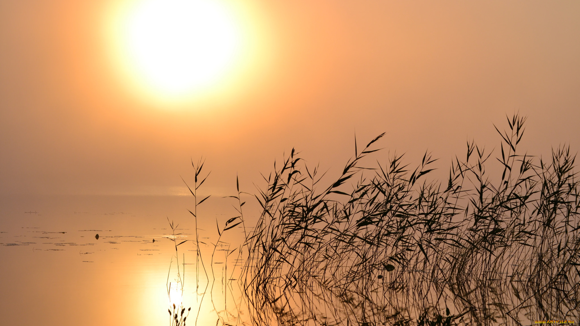 природа, реки, озера, простор