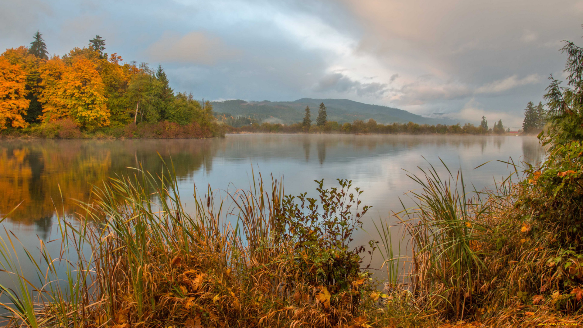 природа, реки, озера, простор