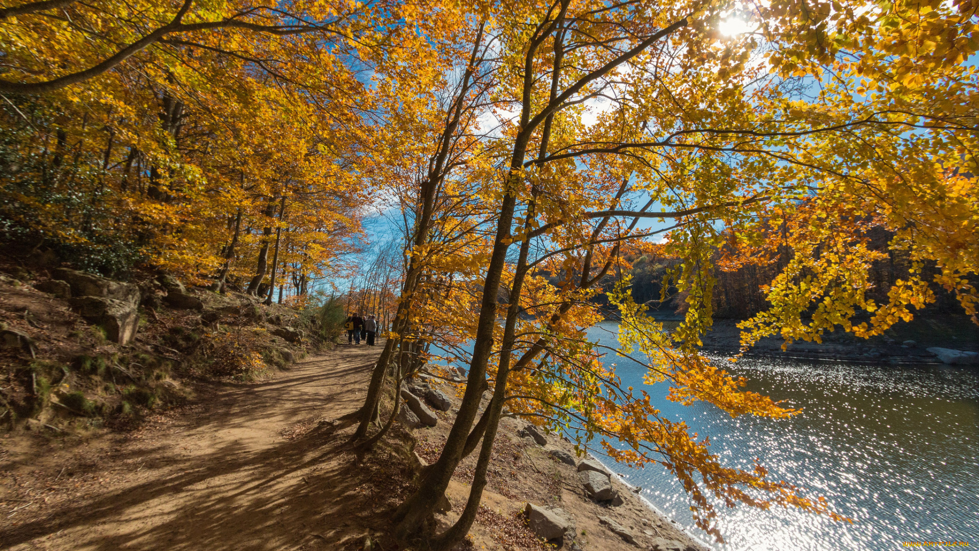 природа, реки, озера, простор