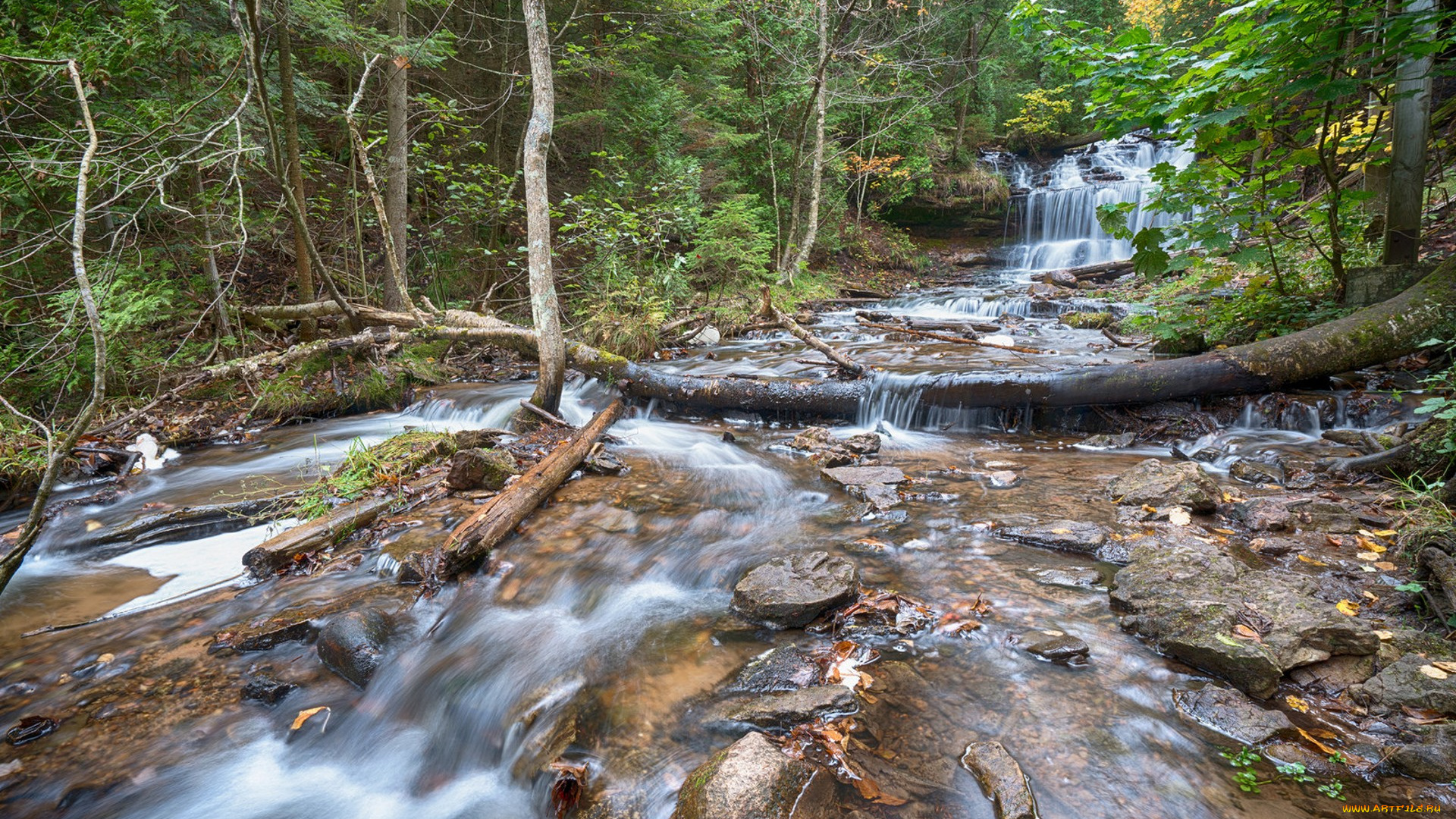 природа, реки, озера, простор