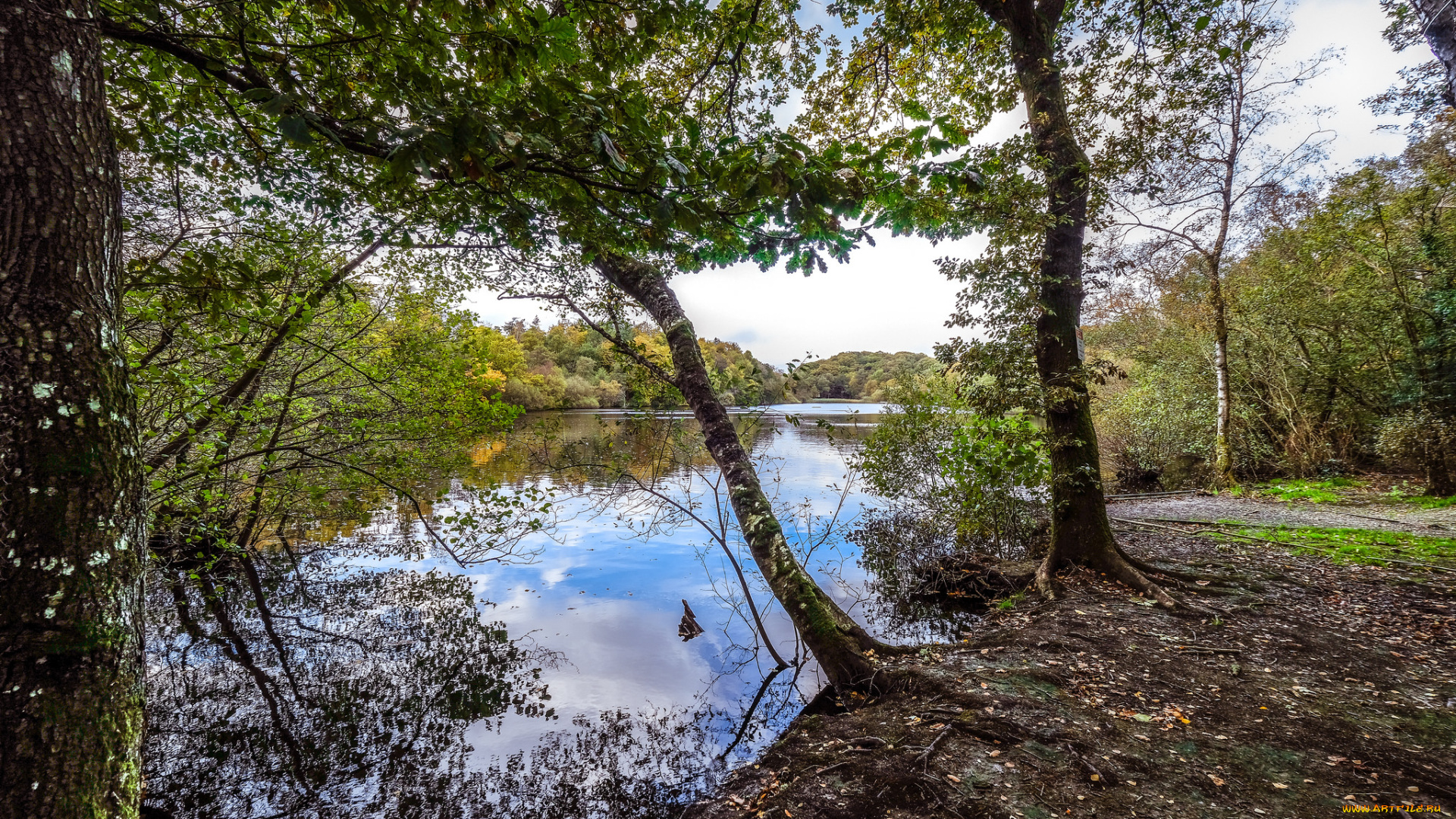 природа, реки, озера, простор