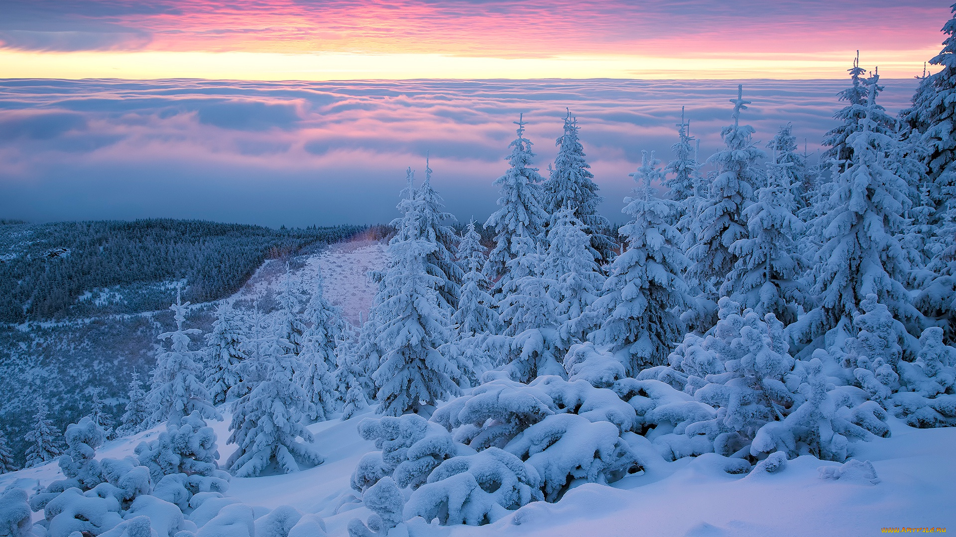 природа, зима, деревья, снег