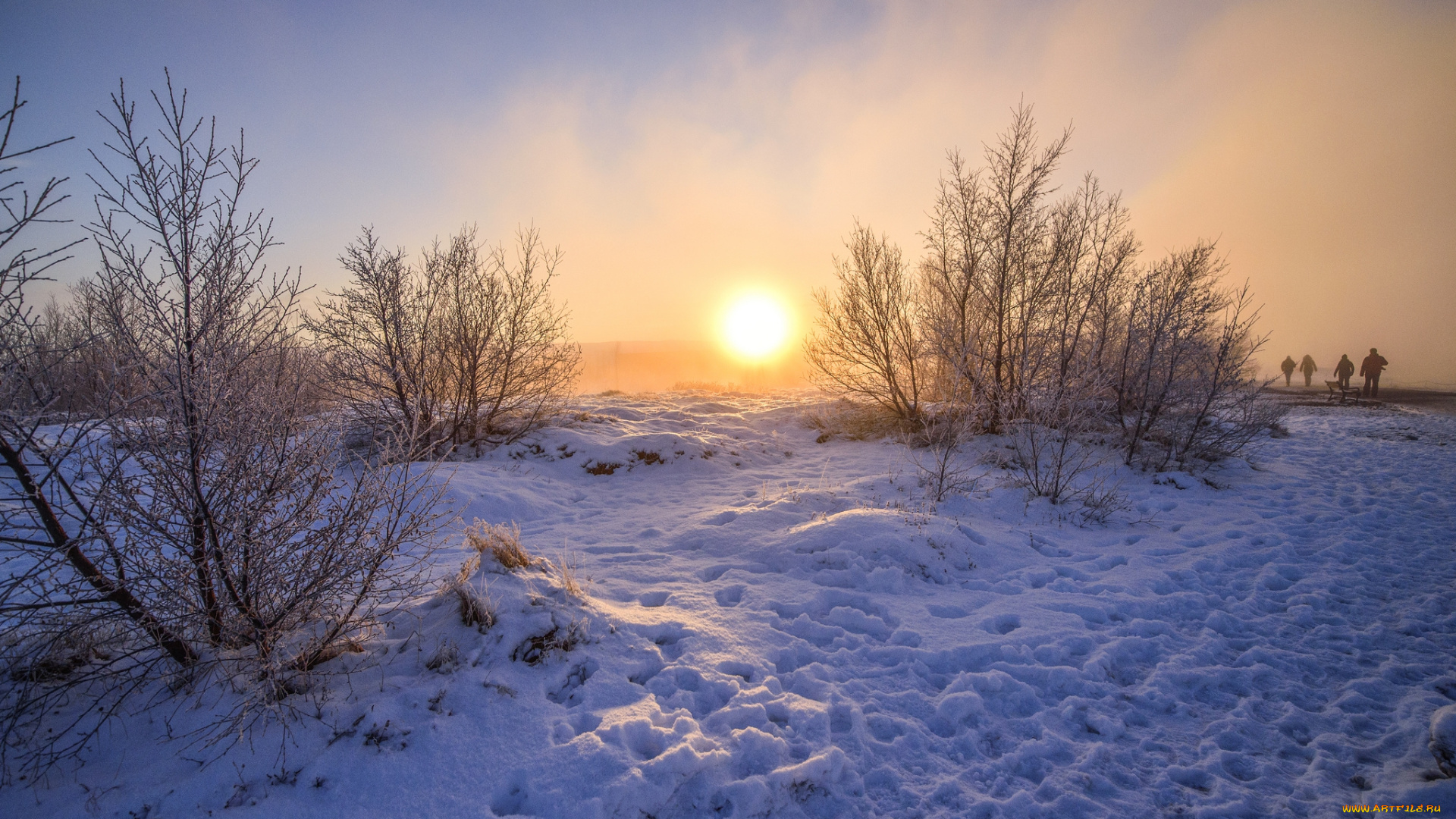 природа, зима, простор