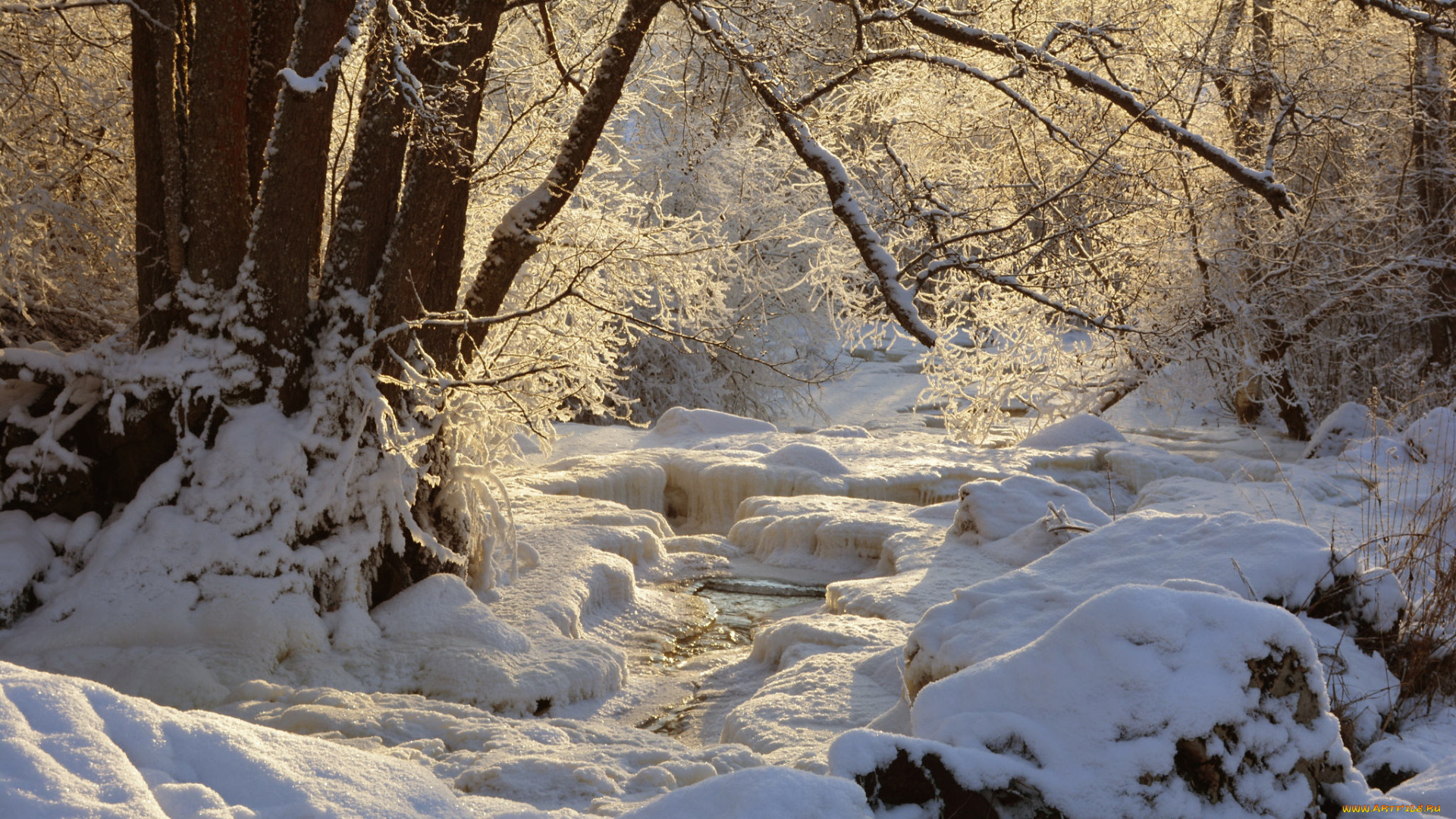 природа, зима, простор