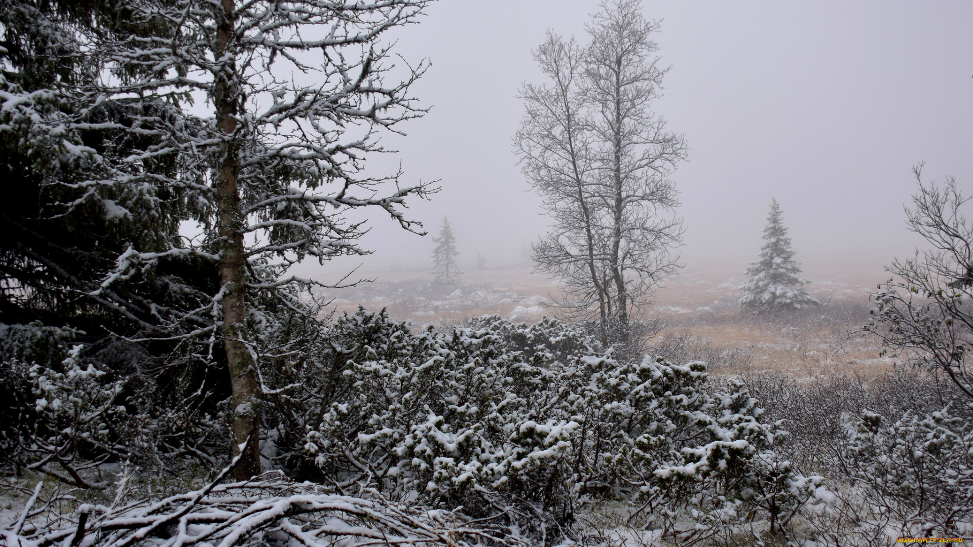 природа, зима, простор