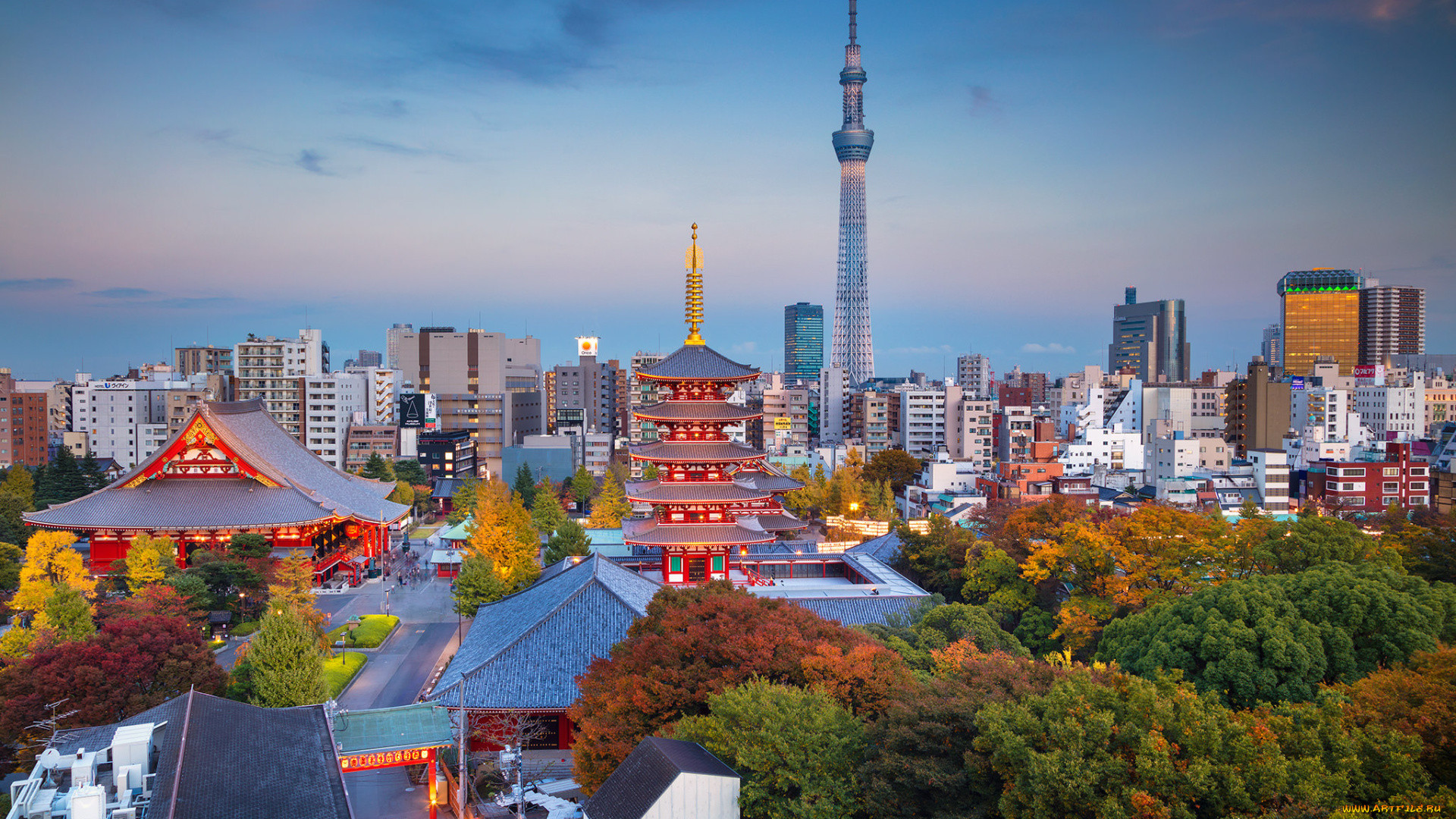 tokyo, города, токио, , Япония, простор