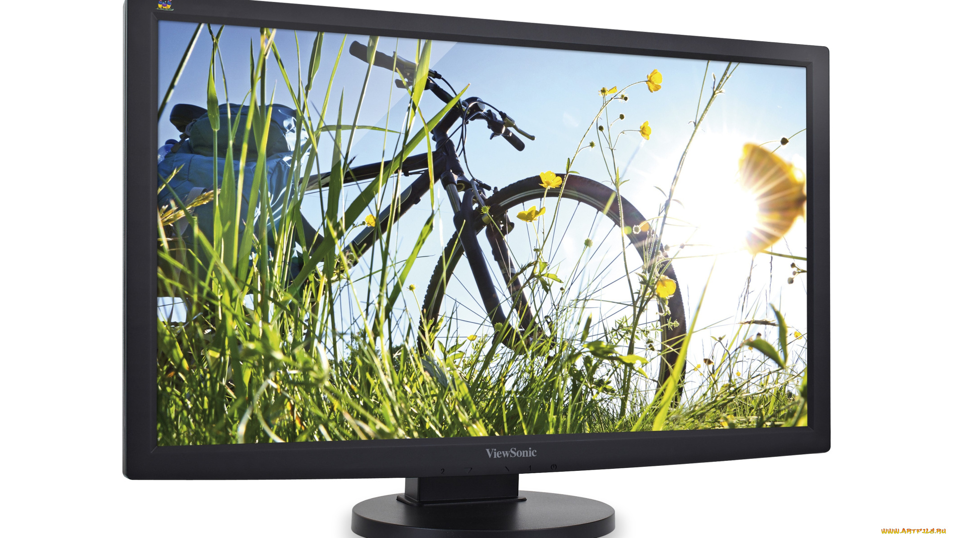 viewsonic, компьютеры, мониторы, , ноутбуки, компьютер, дисплей, монитор