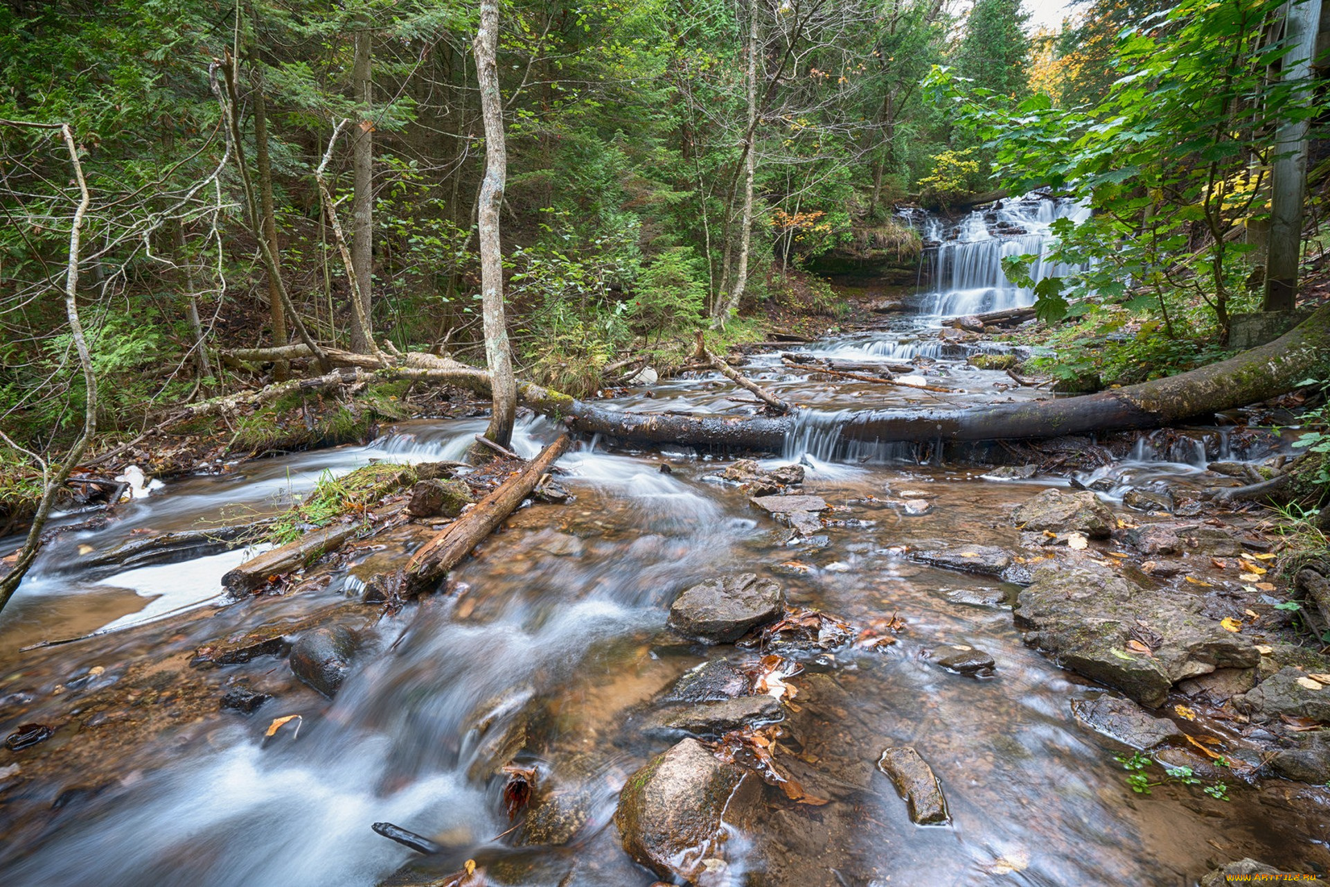 природа, реки, озера, простор