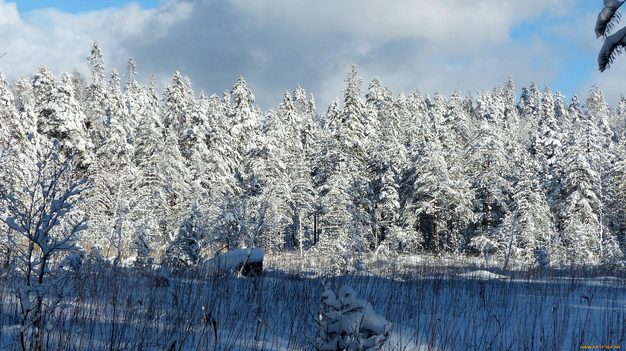 природа, зима, простор