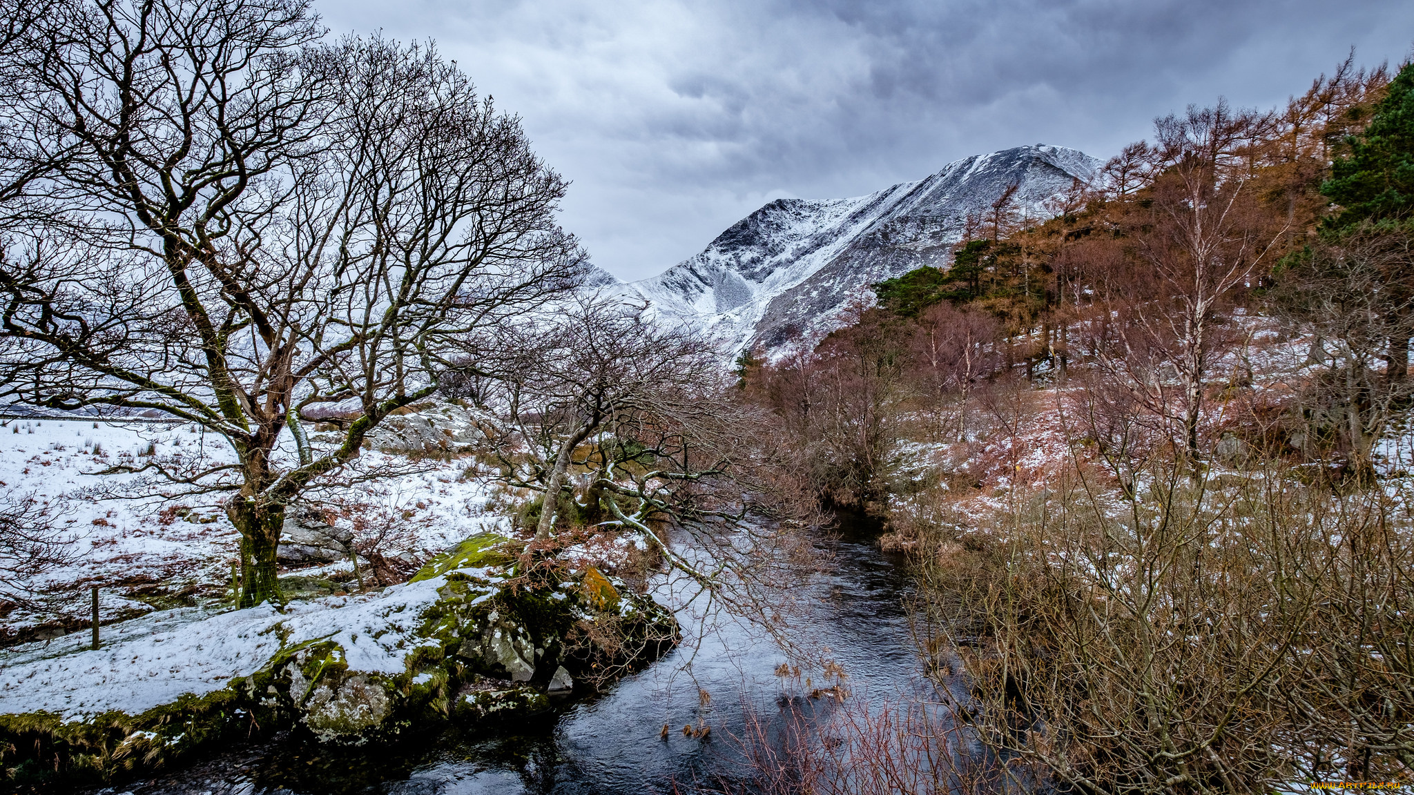 природа, горы, простор