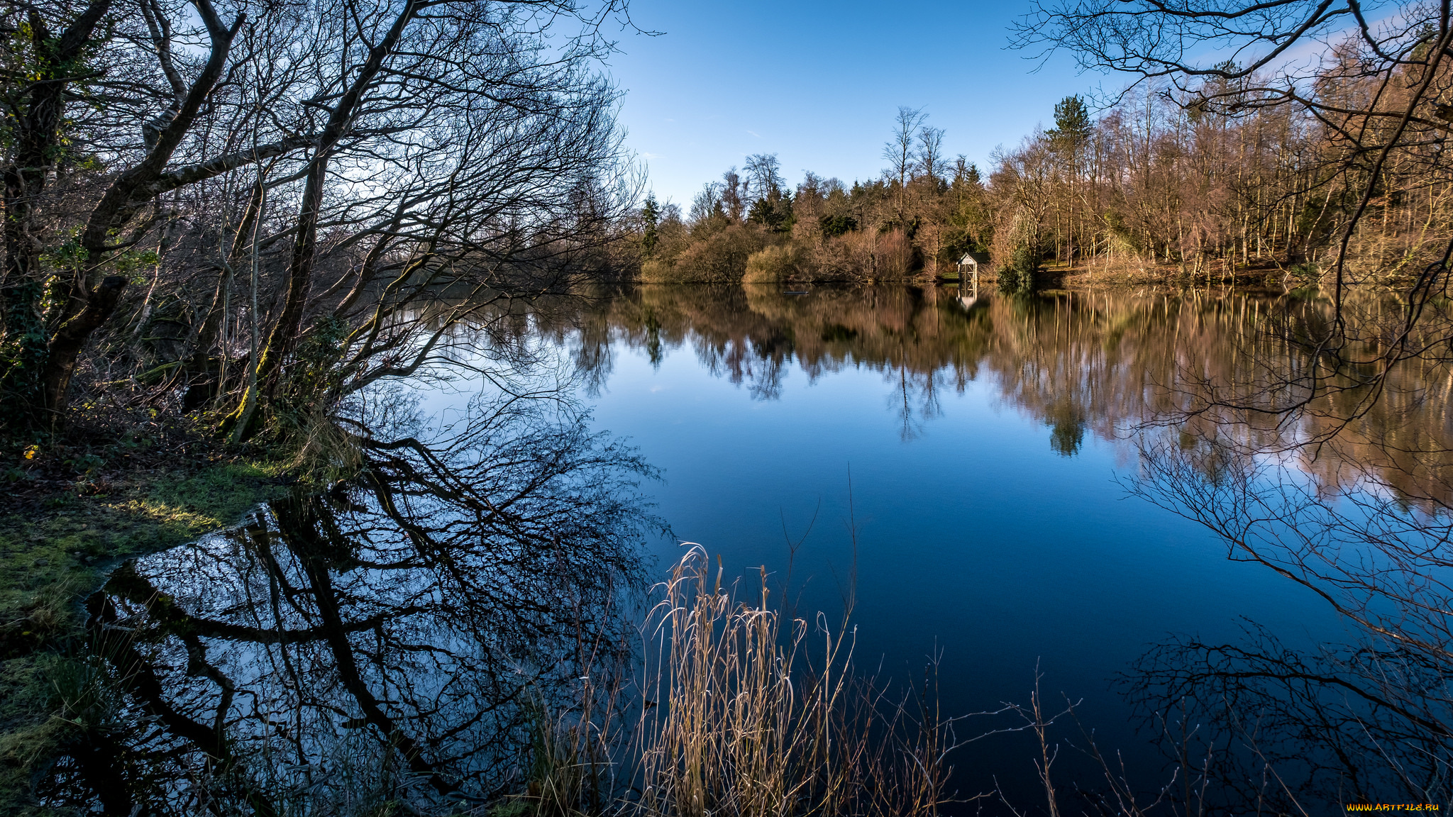 природа, реки, озера, простор