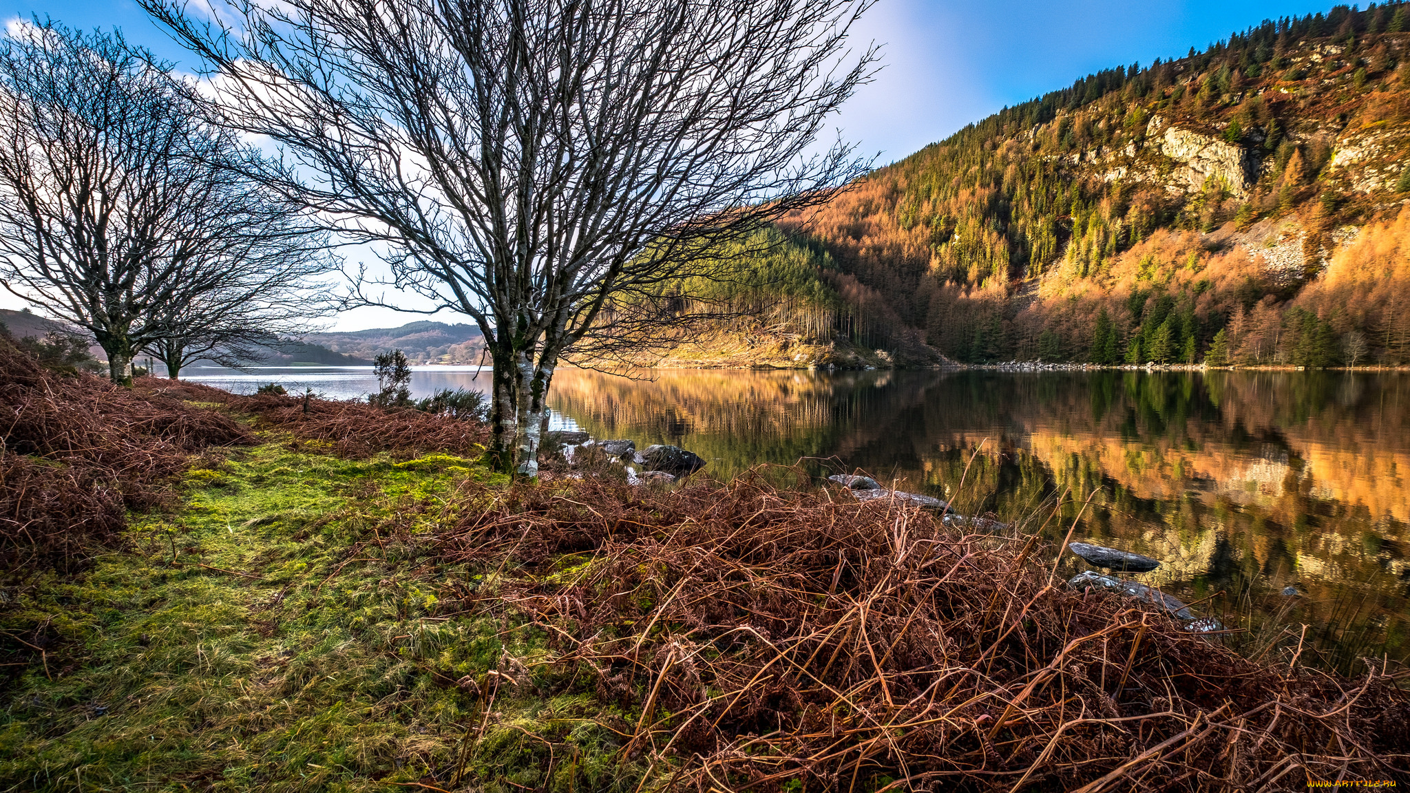 природа, реки, озера, простор