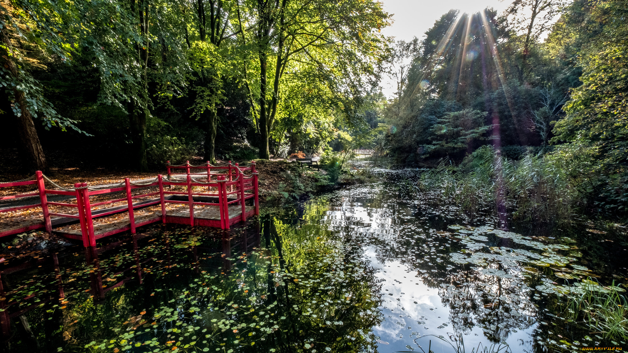 природа, реки, озера, простор