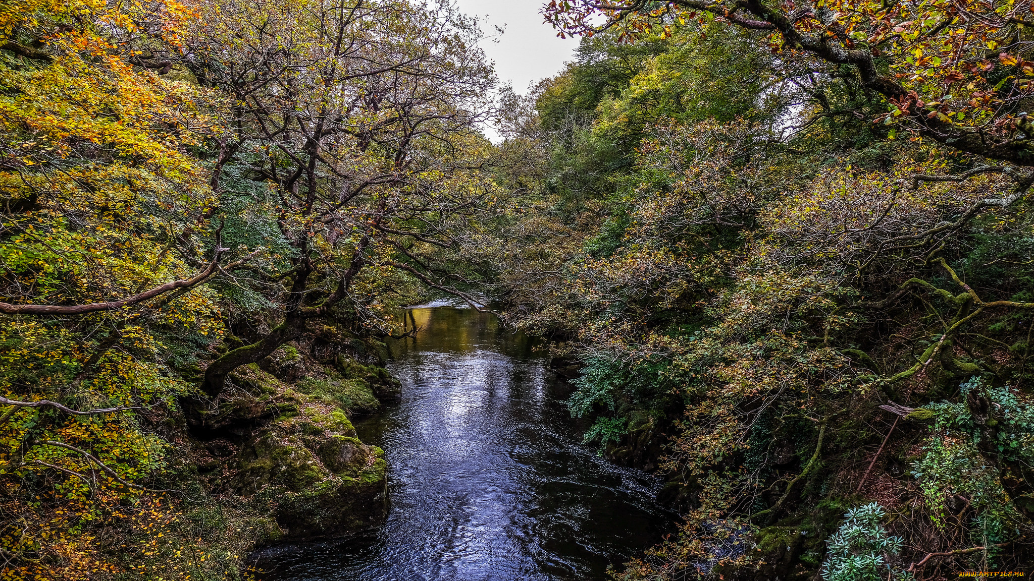 природа, реки, озера, простор