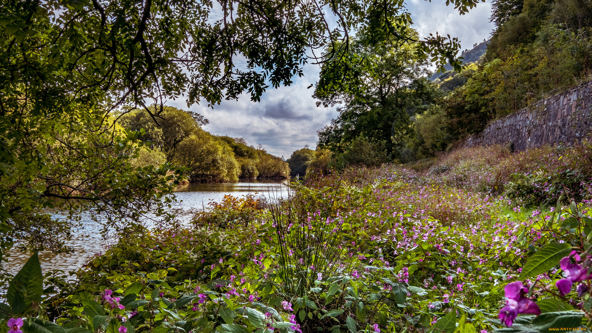 природа, реки, озера, простор