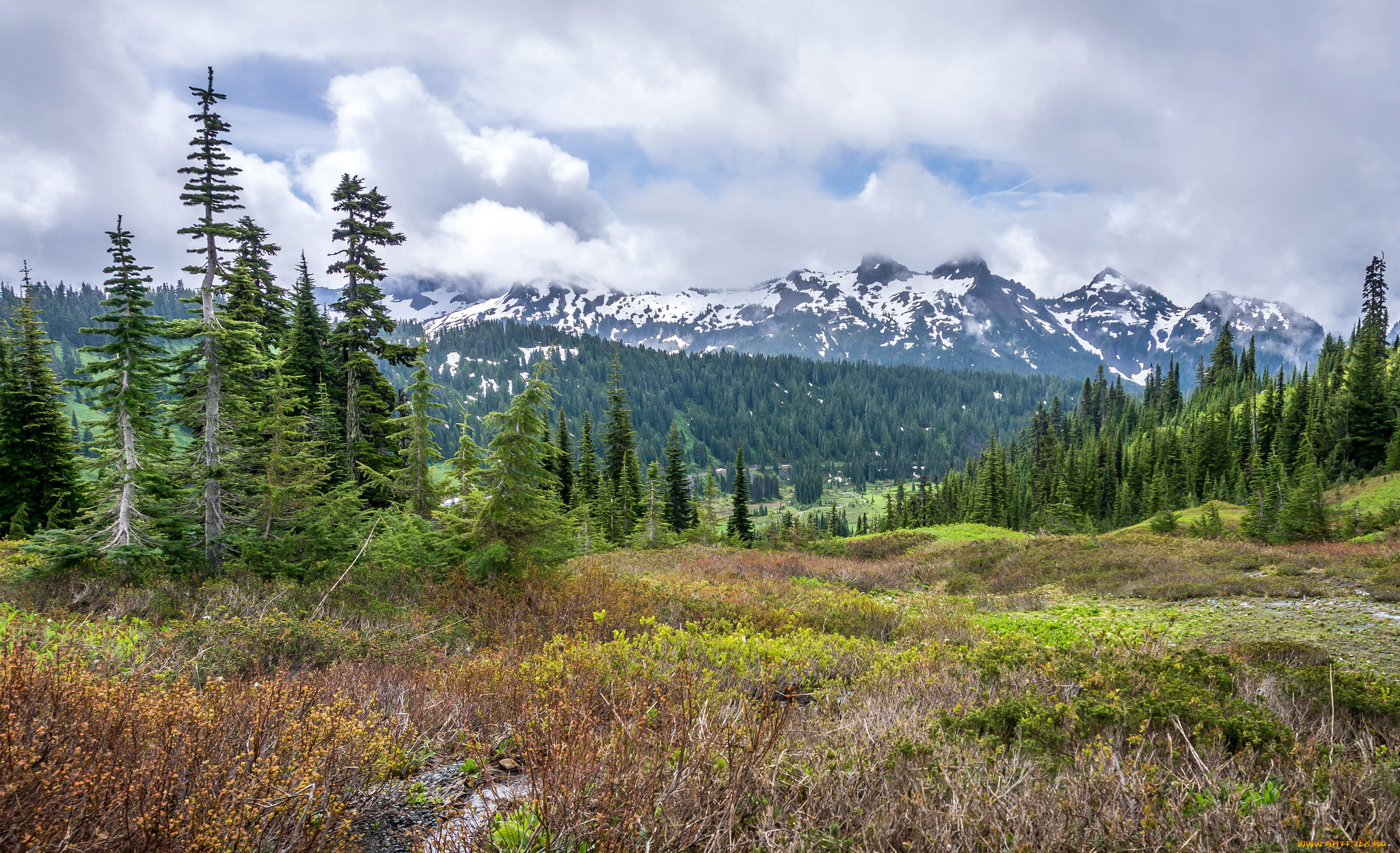 природа, пейзажи, простор