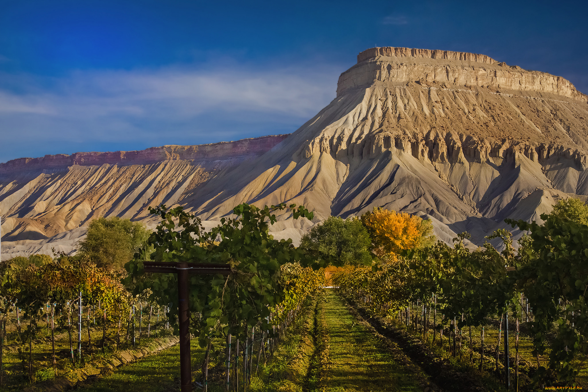 природа, горы, простор