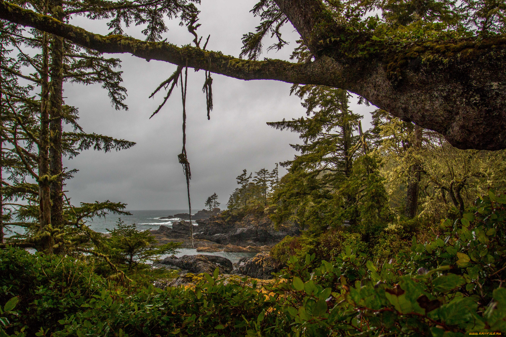 природа, побережье, простор