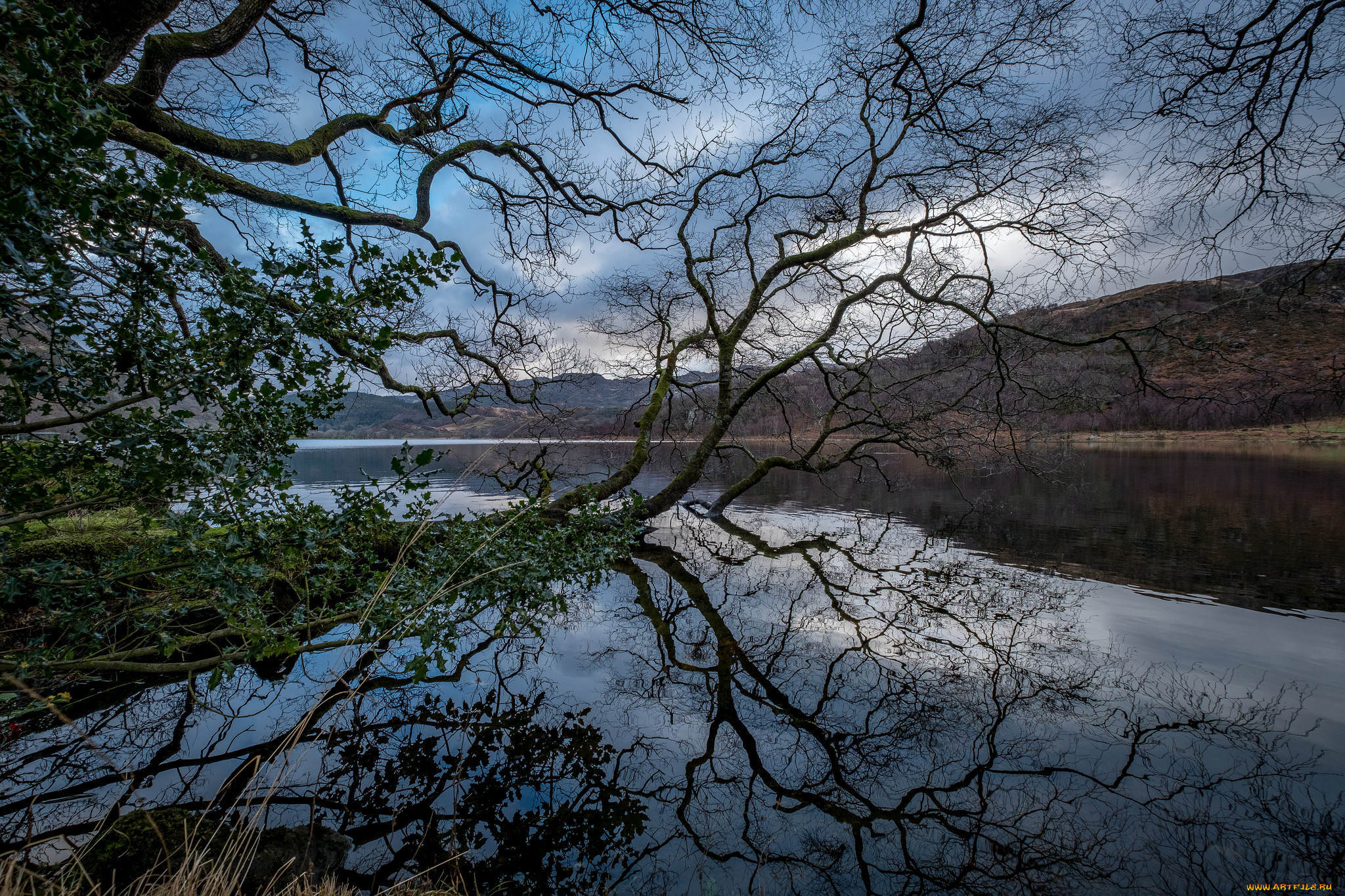 природа, реки, озера, простор