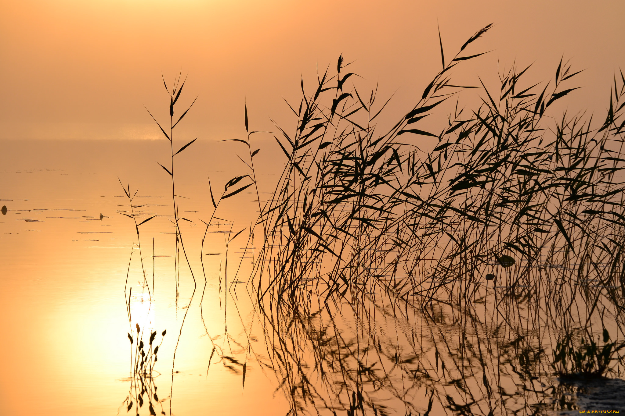 природа, реки, озера, простор