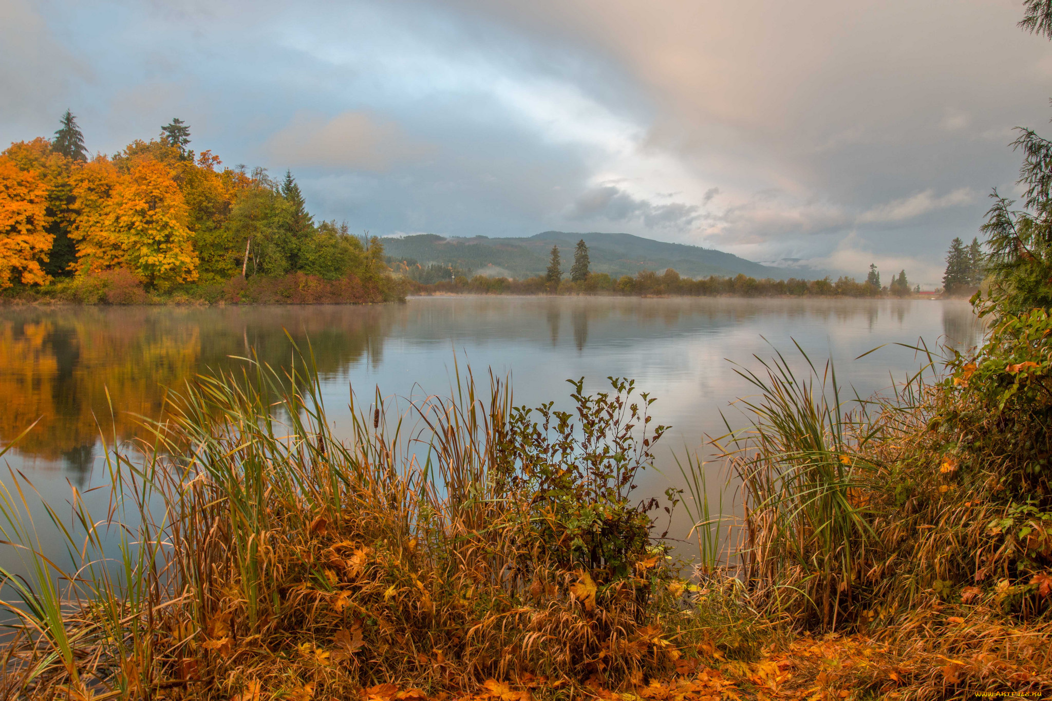 природа, реки, озера, простор