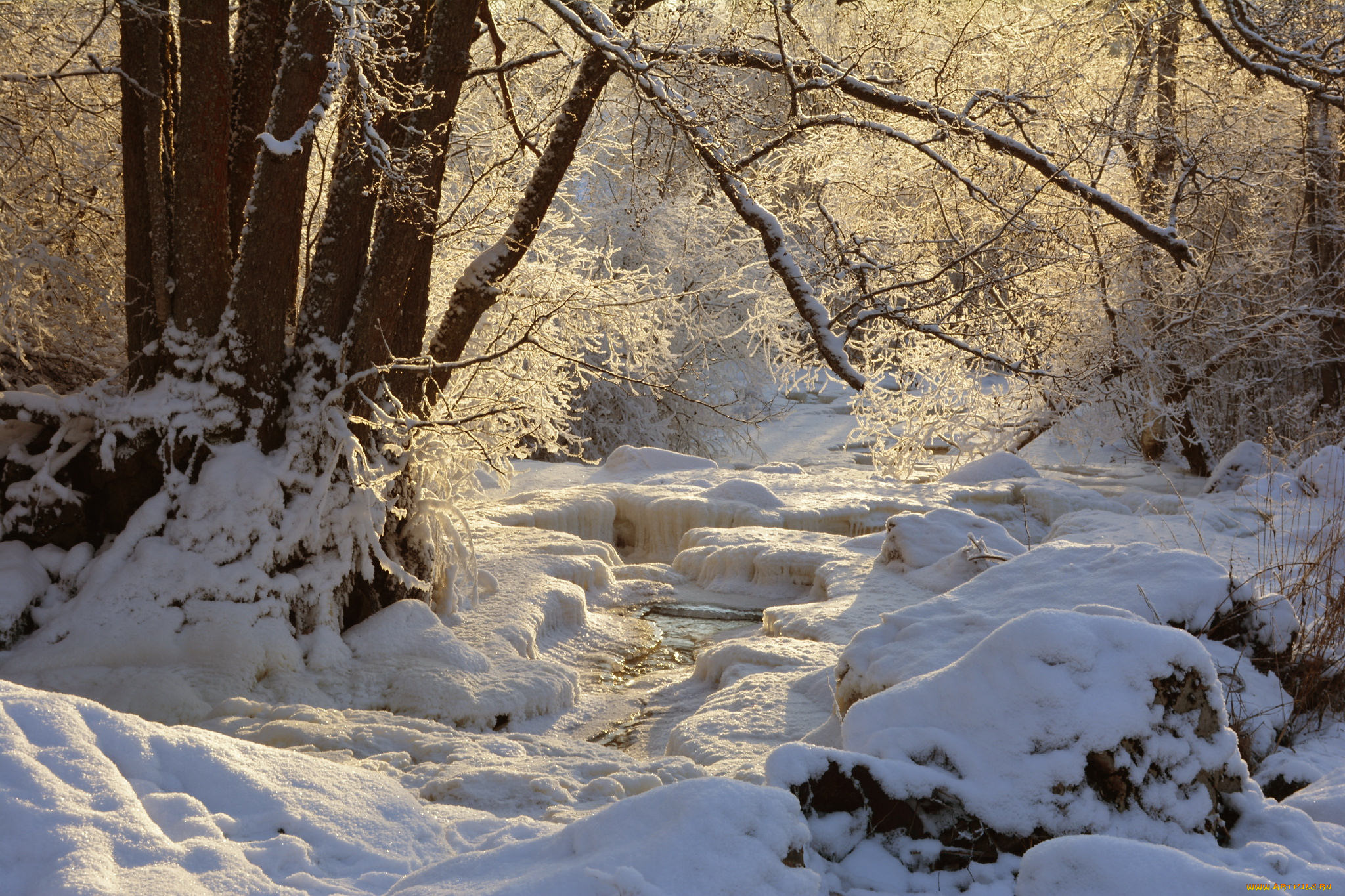 природа, зима, простор