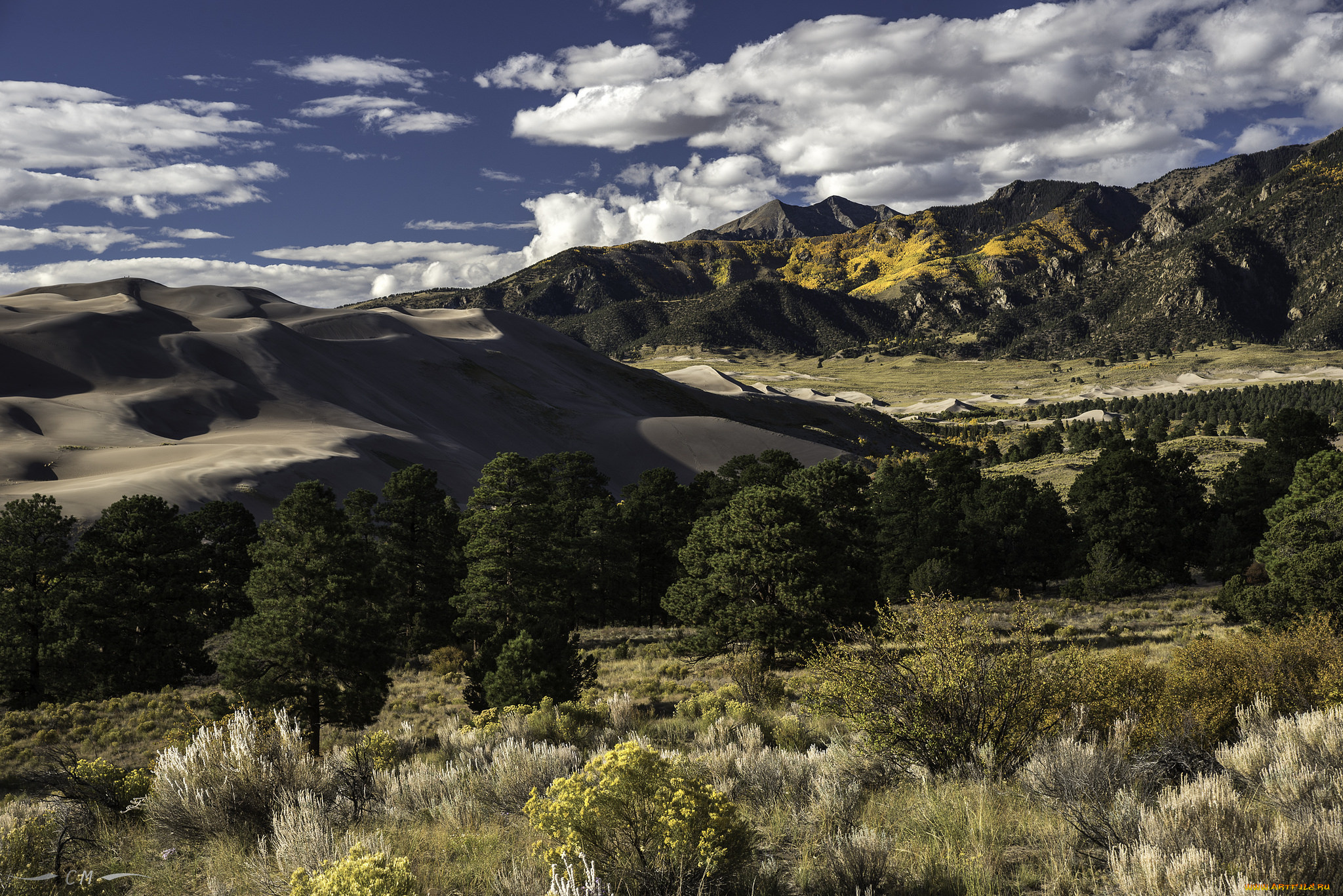 природа, пейзажи, простор