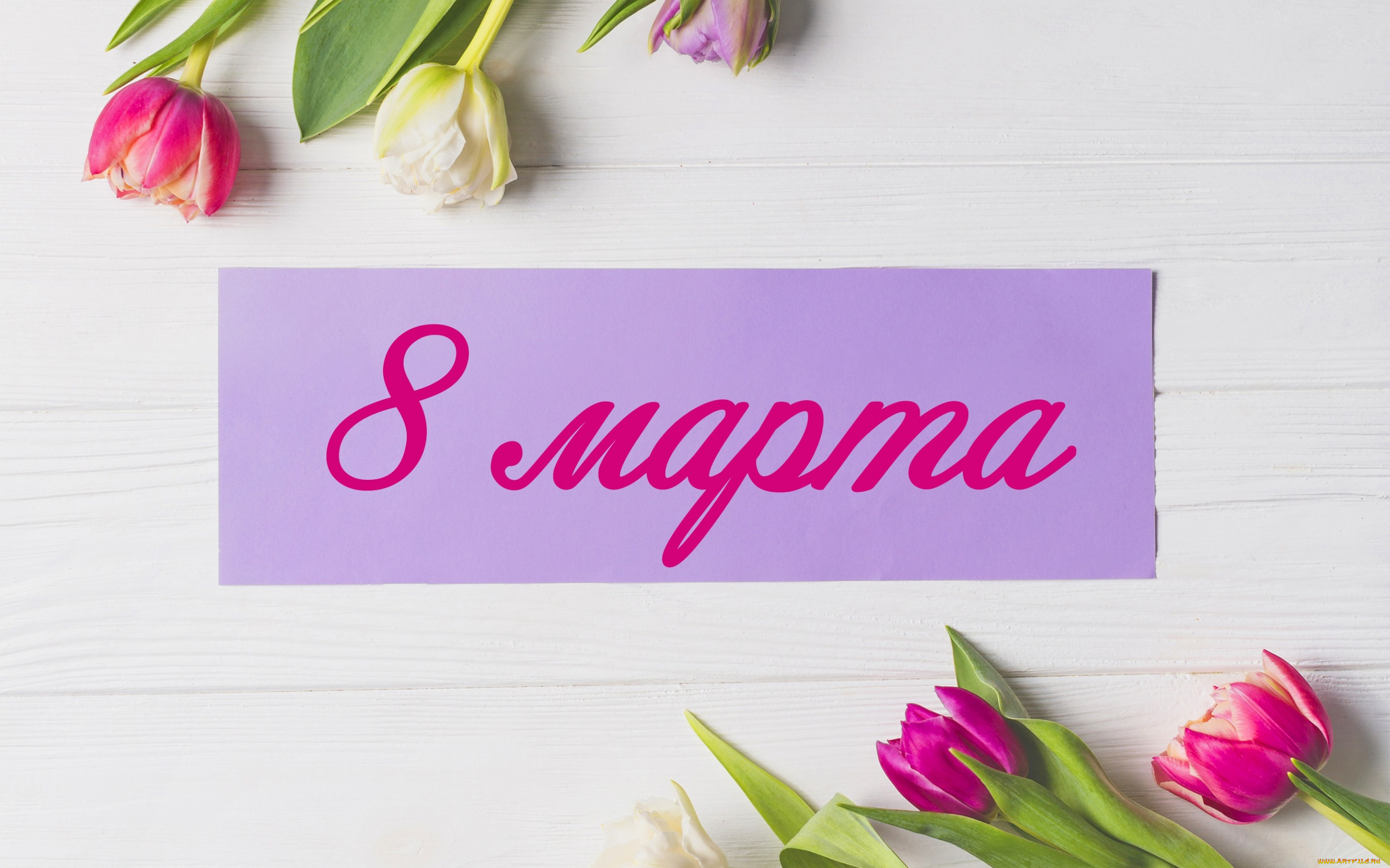 праздничные, международный, женский, день, -, 8, марта, весна, розовые, colorful, wood, pink, тюльпаны, 8, марта, romantic, tulips, открытка, spring, flowers, цветы