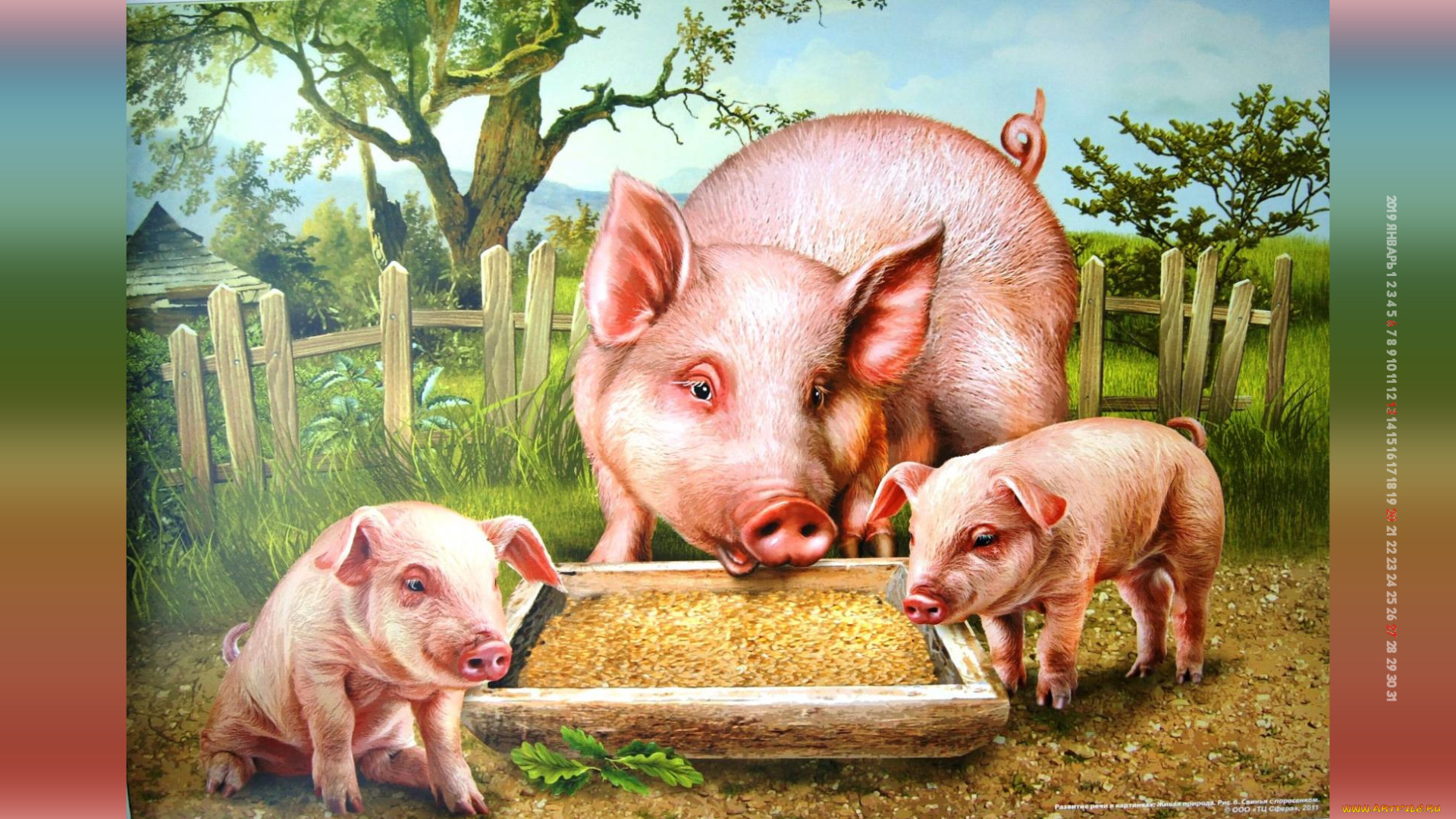 календари, рисованные, , векторная, графика, поросенок, корыто, свинья, двор, растения, забор
