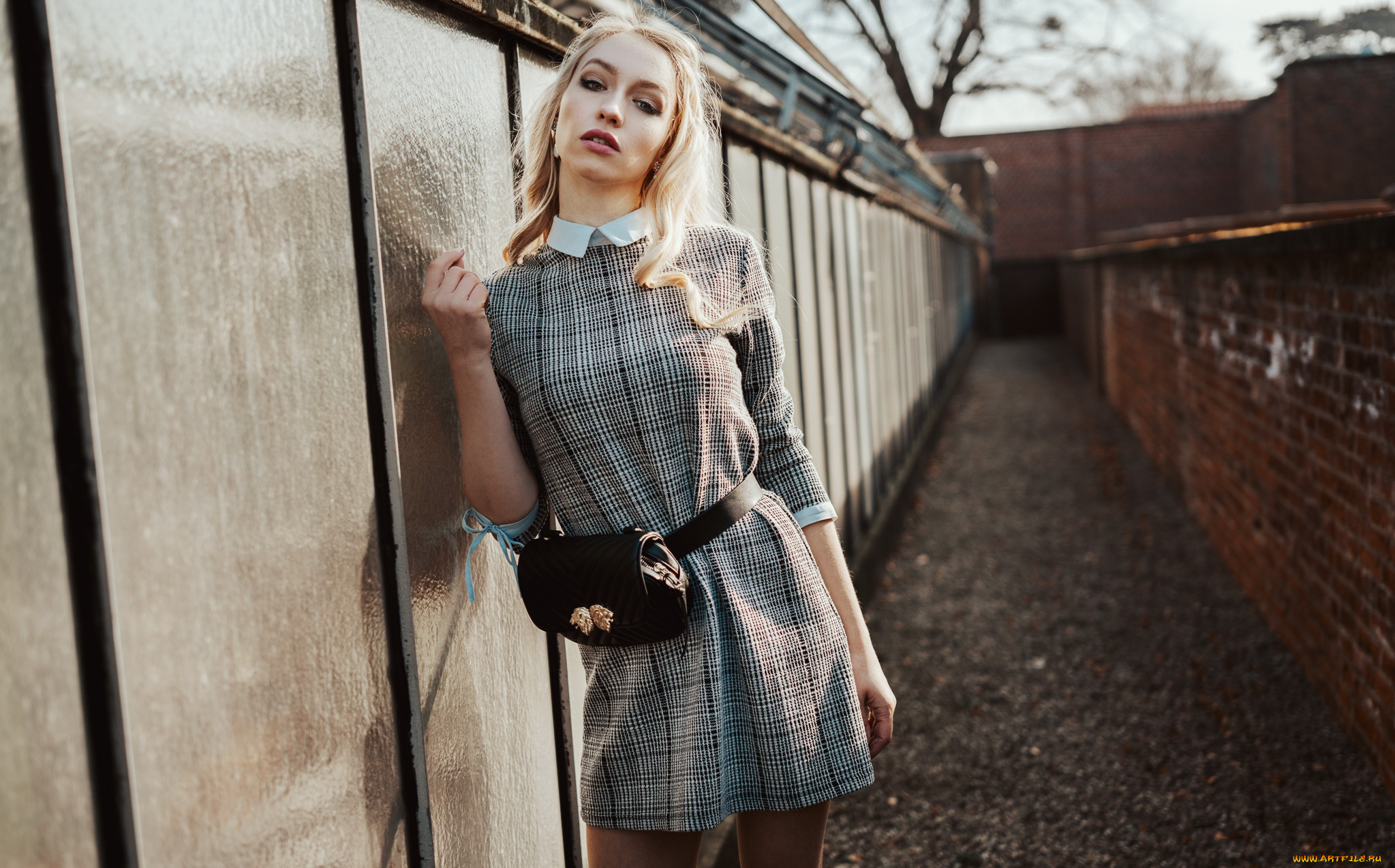 девушка, девушки, -unsort, , блондинки, , светловолосые, модель