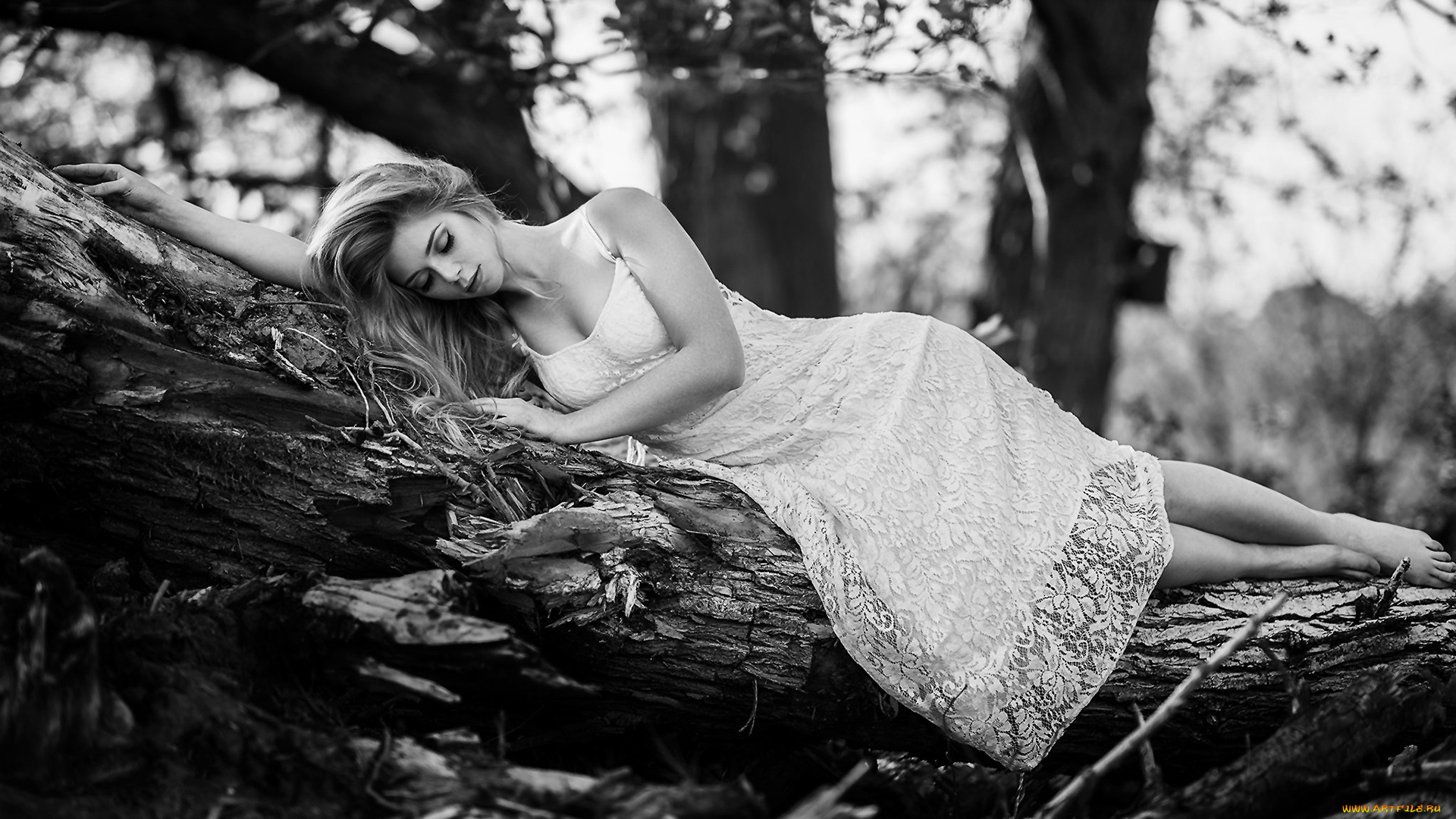 девушки, yvonne, michel, yvonne, michel