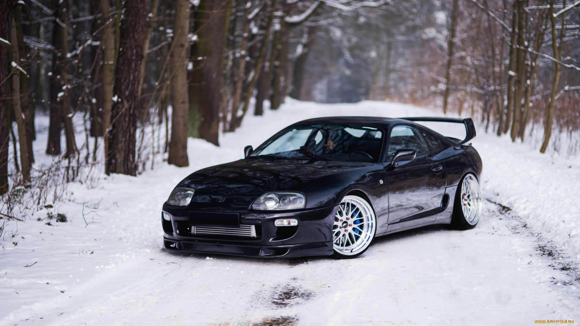 toyota, supra, автомобили, toyota, supra, a80, black, snow, road, forest