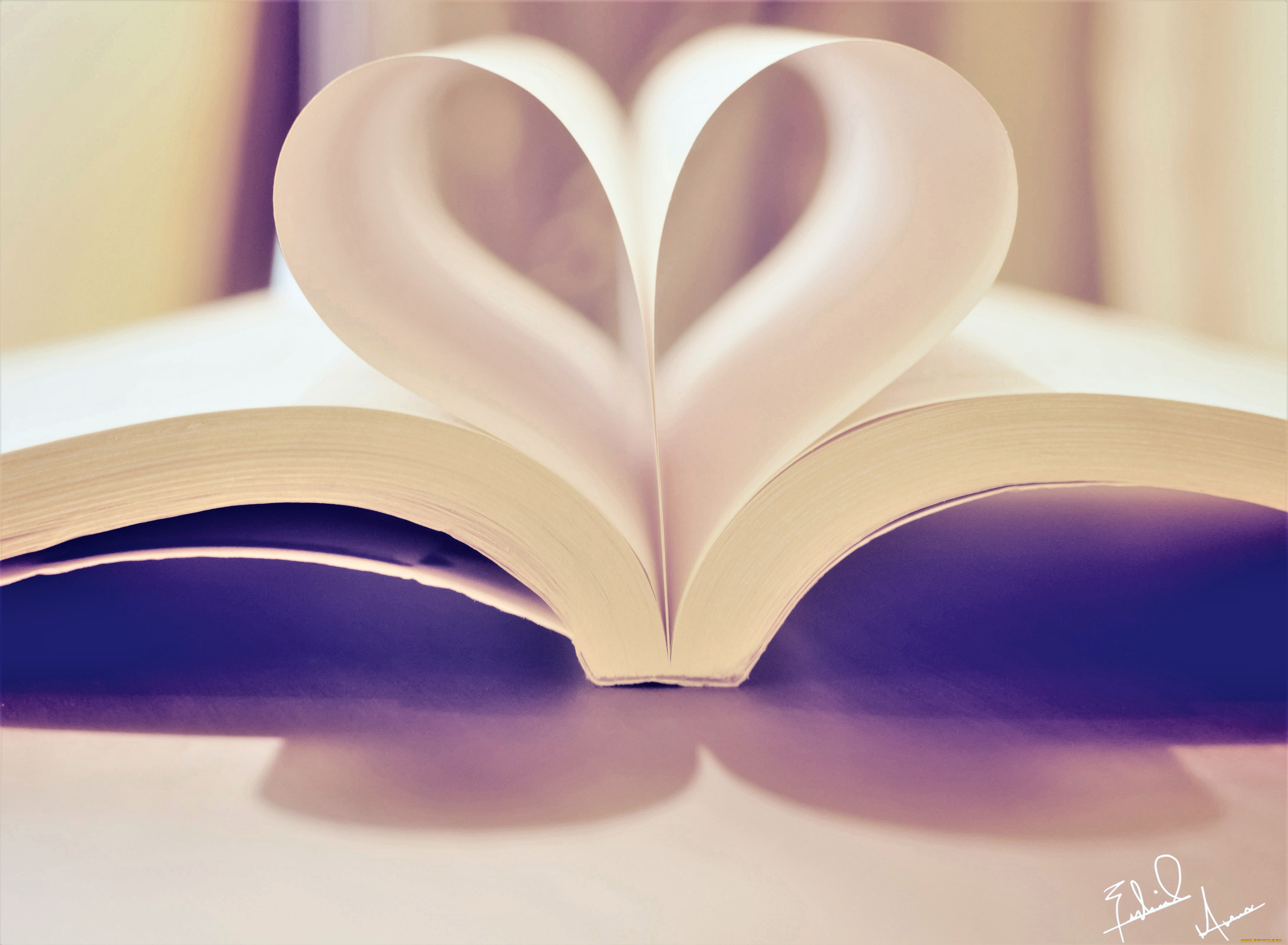 разное, канцелярия, , книги, книга, страницы, сердечко