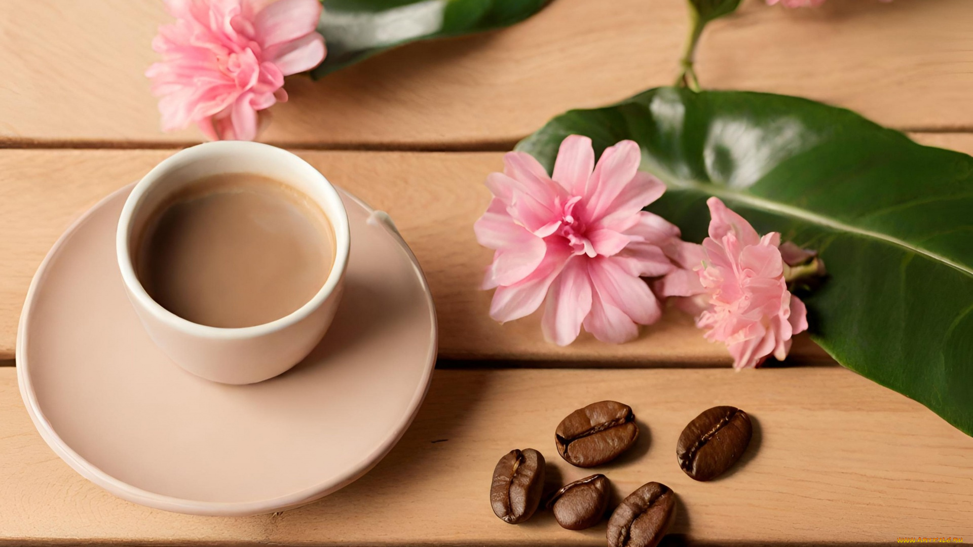 3д, графика, еда-, food, цветы, кофе, зерна, кофейные